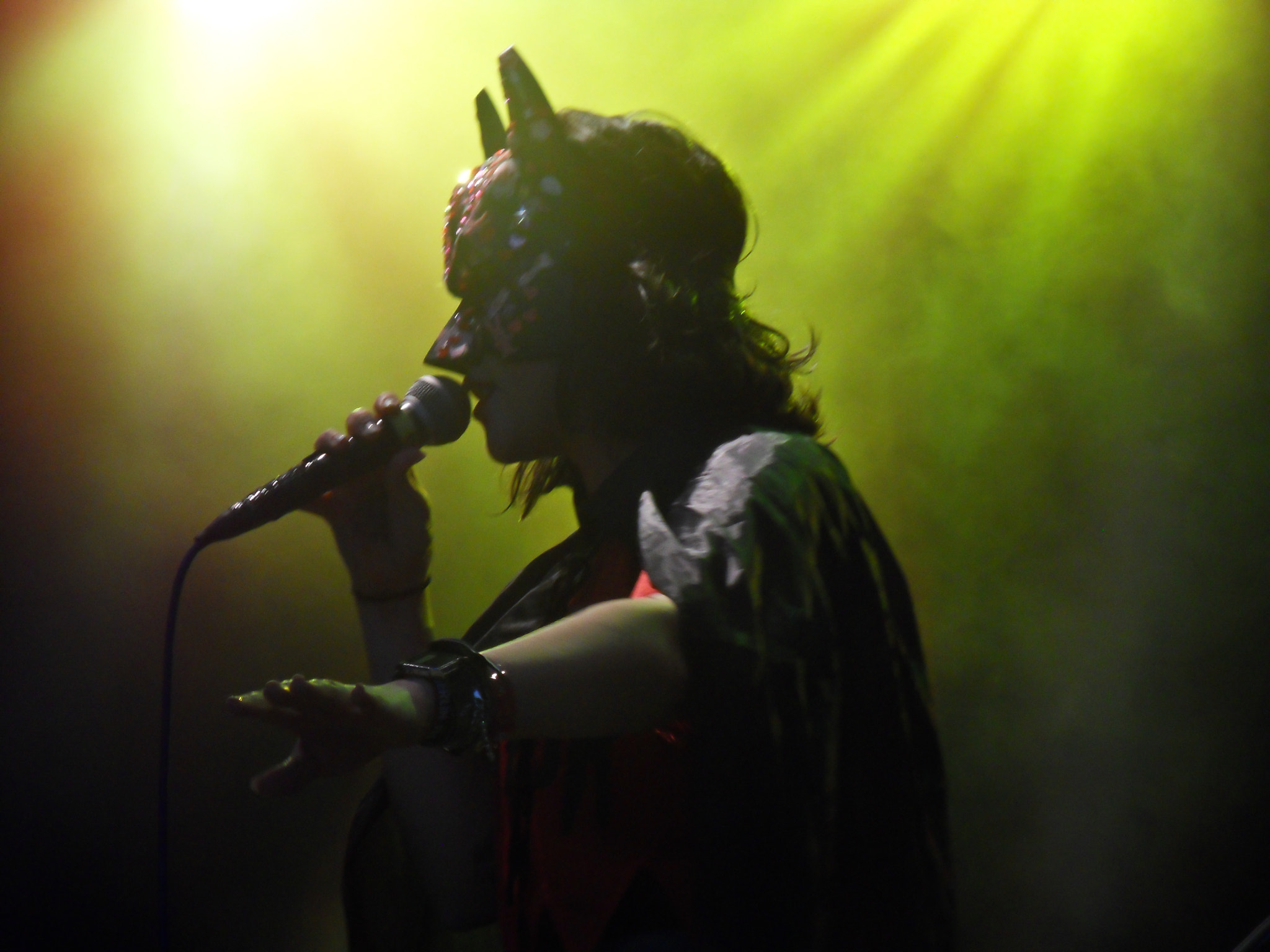 Samsung WB550, WB560 / VLUU WB550 /  HZ15W sample photo. Css at berlin festival, 2011. photography