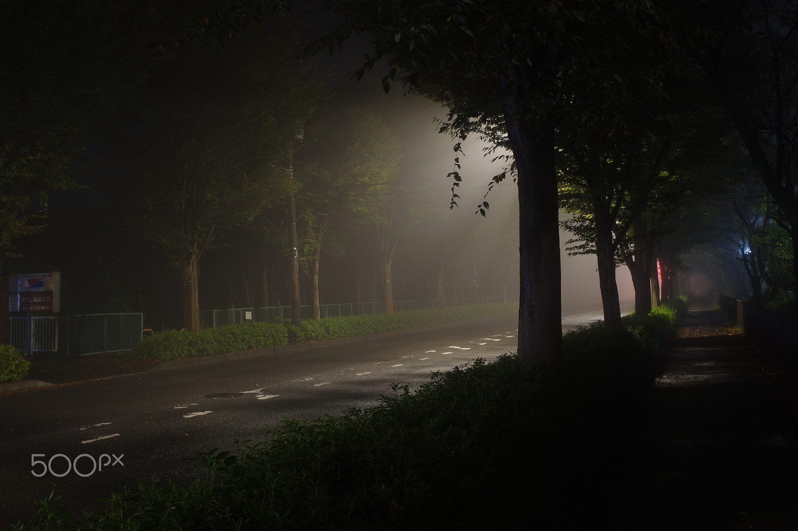 smc PENTAX-DA L 18-55mm F3.5-5.6 sample photo. Night fog photography