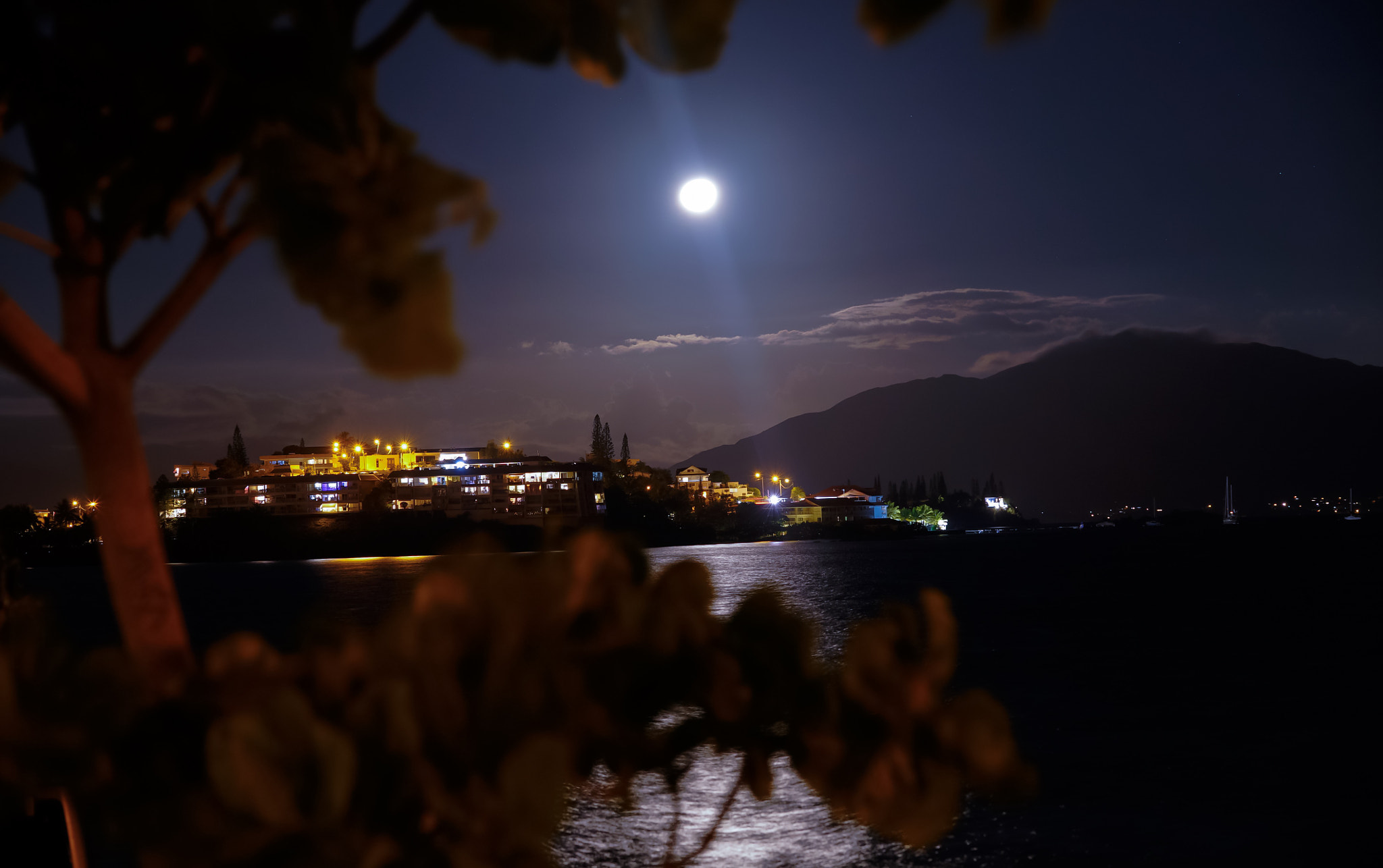 Sony FE 85mm F1.4 GM sample photo. Moonlight city photography
