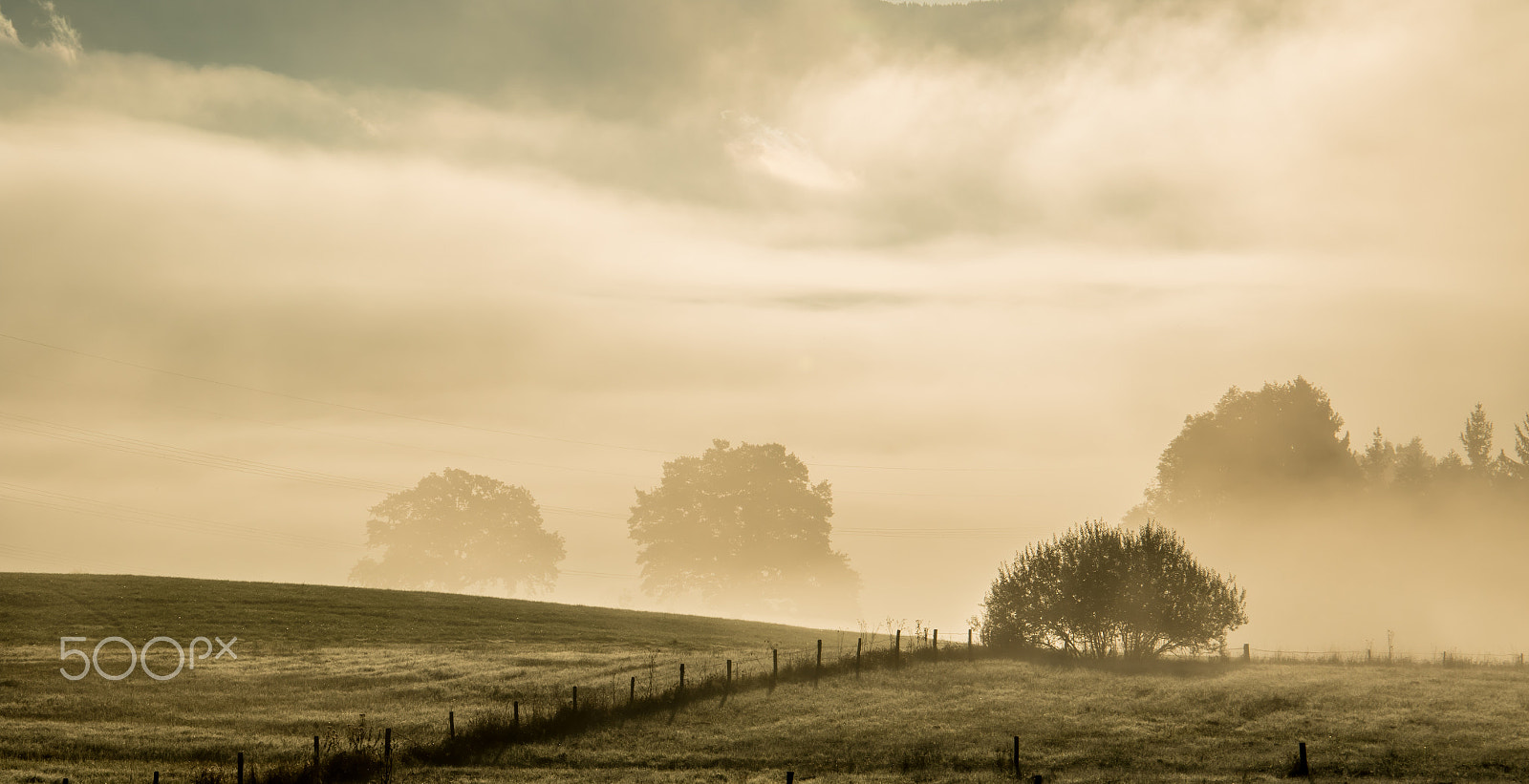 Canon EF 24-105mm F3.5-5.6 IS STM sample photo. Morning in plaicken hills photography