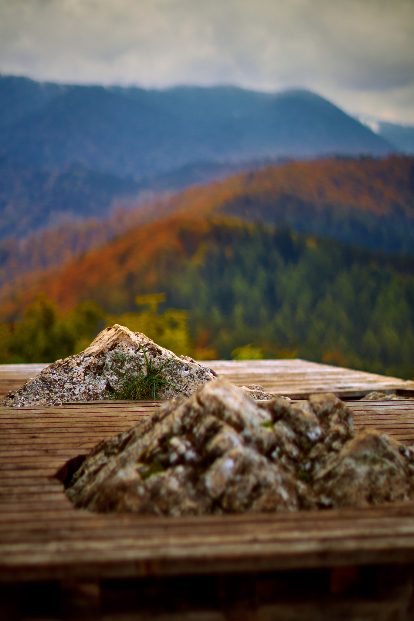 Sony SLT-A58 + Minolta AF 50mm F1.4 [New] sample photo. Brasov mountains photography