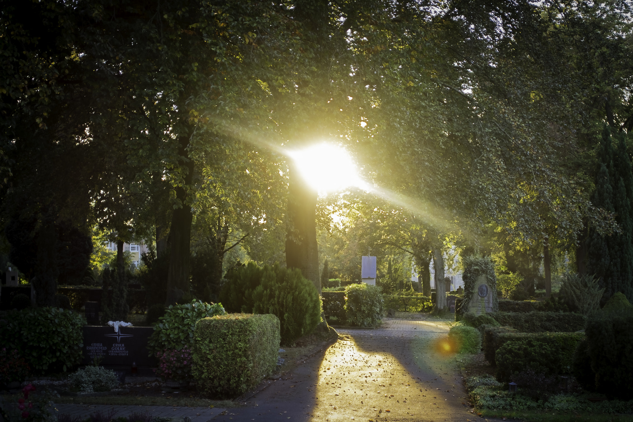 ZEISS Touit 32mm F1.8 sample photo. Autumn photography
