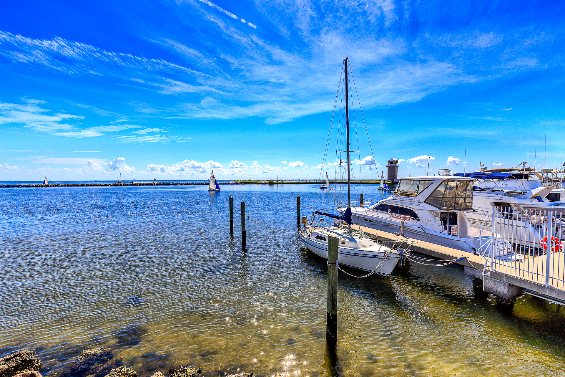 Canon EF 16-35mm F4L IS USM sample photo. St pete photography