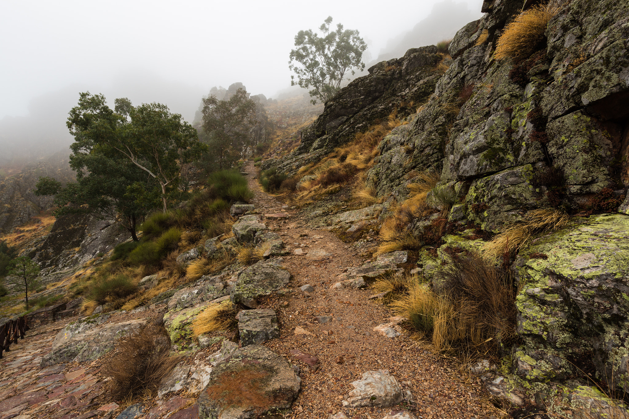 Canon EOS 6D + Canon EF 16-35mm F4L IS USM sample photo. Penha garcia  131016-8798 photography