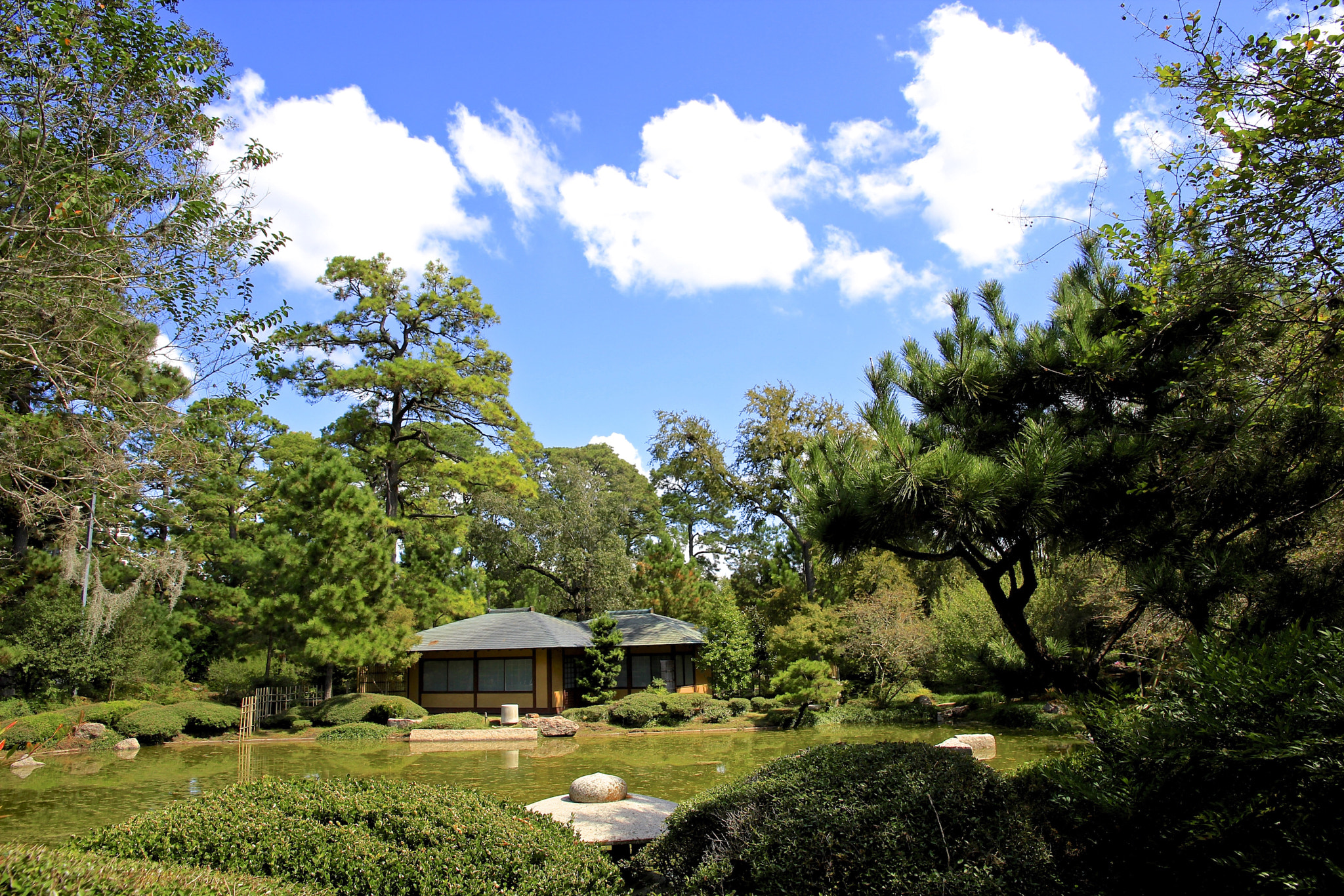 Canon EOS 550D (EOS Rebel T2i / EOS Kiss X4) sample photo. Japanese park photography