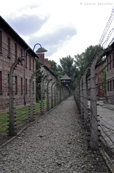In Auschwitz