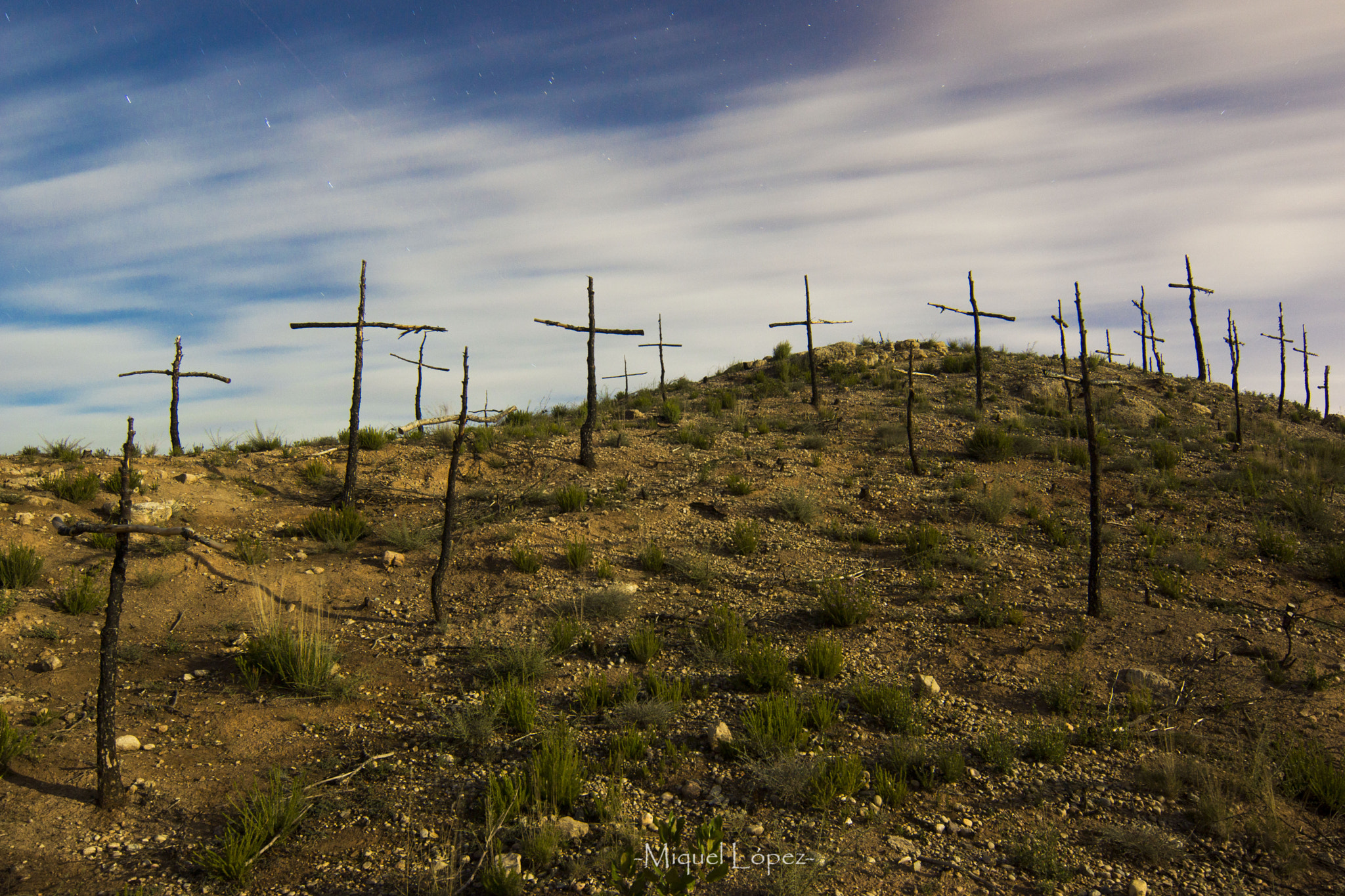 Sony SLT-A77 + 20mm F2.8 sample photo. Bosque de las cruces photography