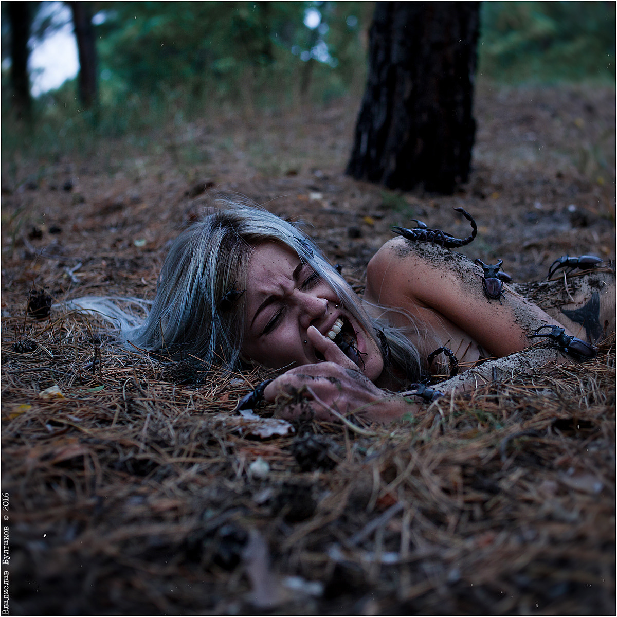Canon EOS 5D Mark II + Canon EF 35mm F2 sample photo. Entomophobia photography