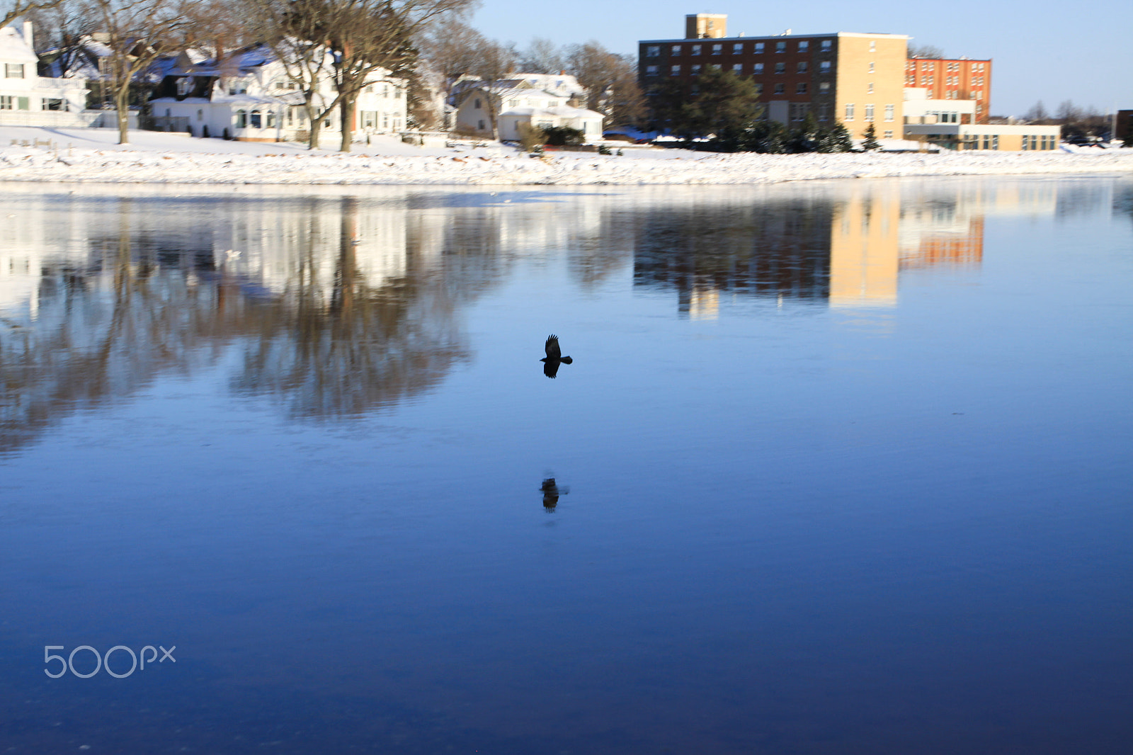 Canon EOS 50D sample photo. Mirror photography