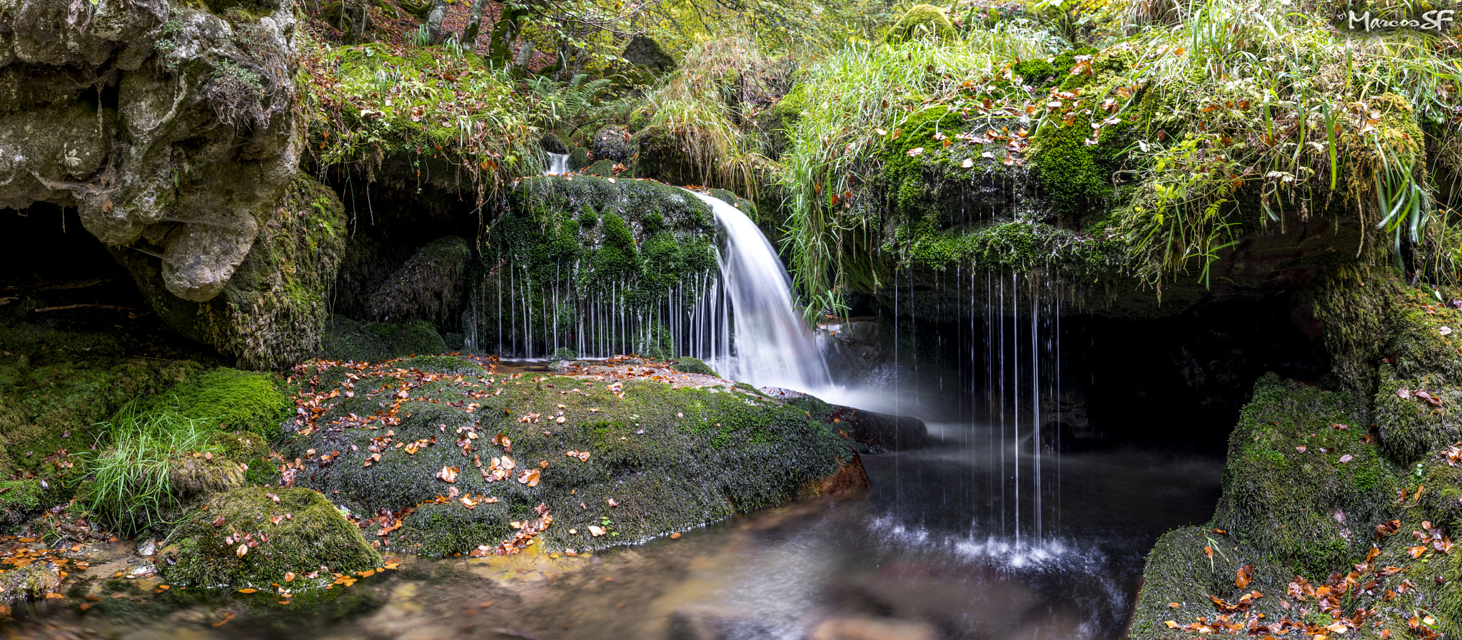 Sony a7 II + Tamron SP 24-70mm F2.8 Di VC USD sample photo. Hayedo de argovejo photography