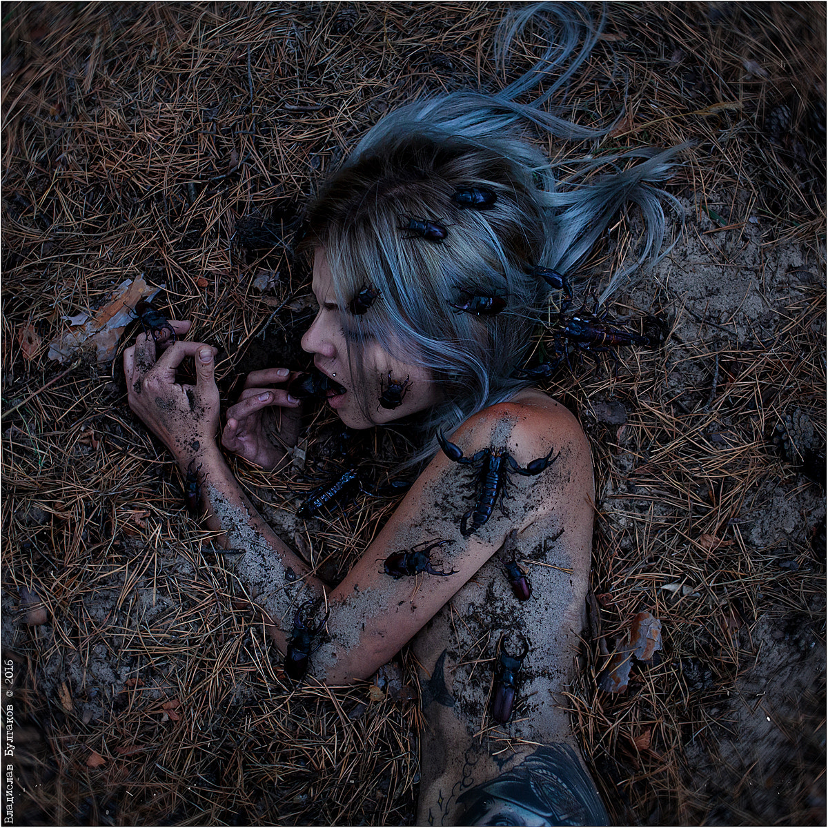 Canon EOS 5D Mark II + Canon EF 35mm F2 sample photo. Entomophobia photography