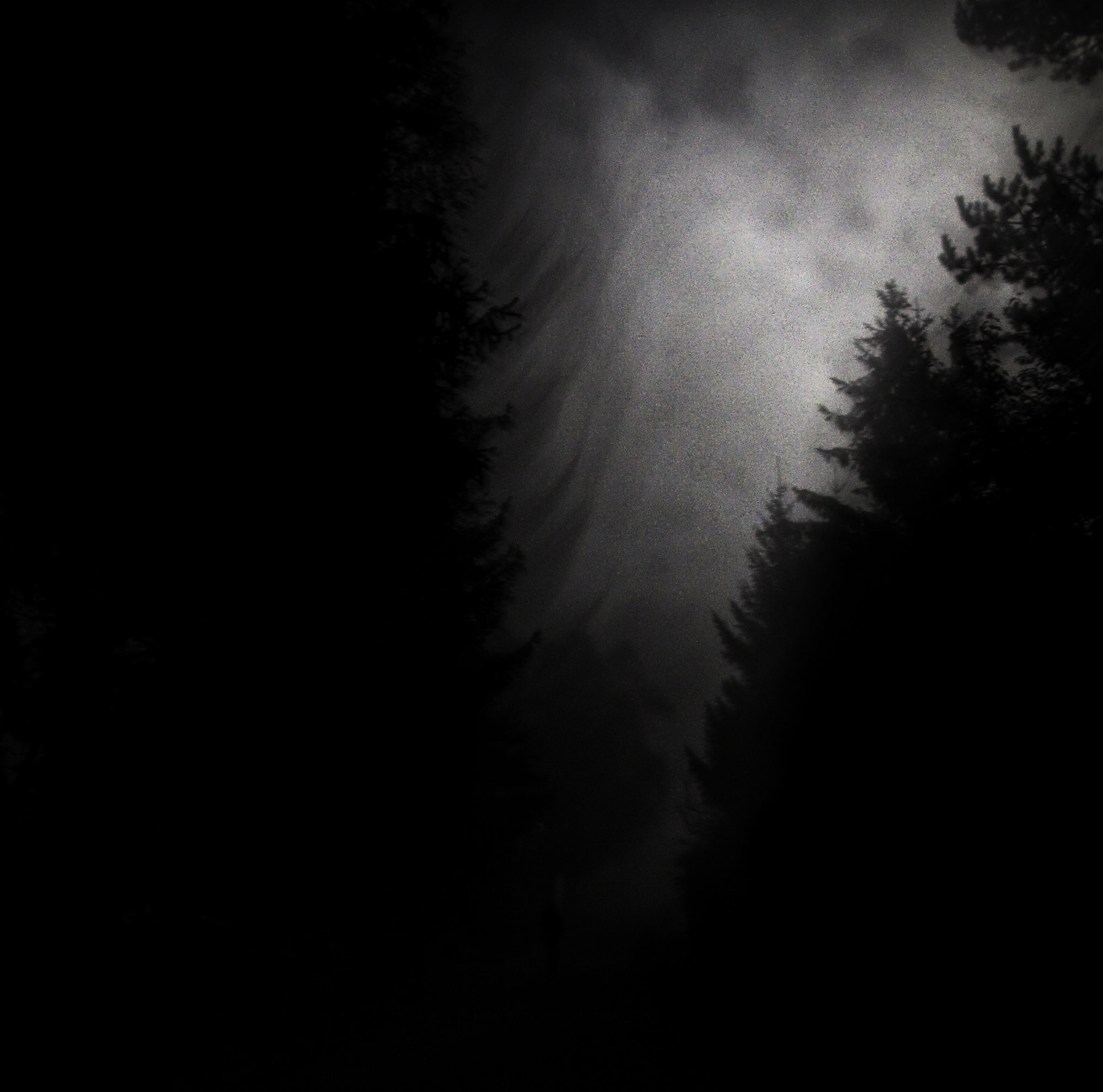 Canon EOS 50D sample photo. Into the mist photography