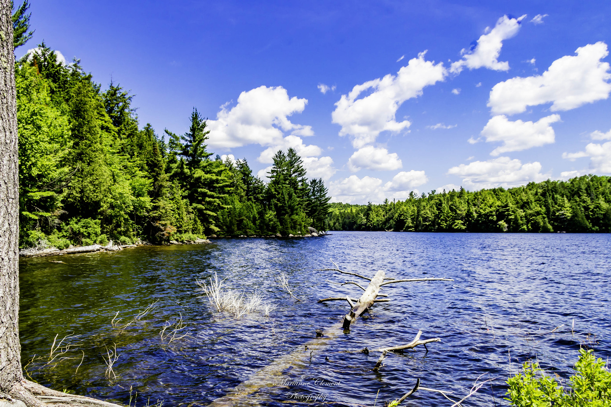Canon EF-S 17-85mm F4-5.6 IS USM sample photo. Smoke lake photography