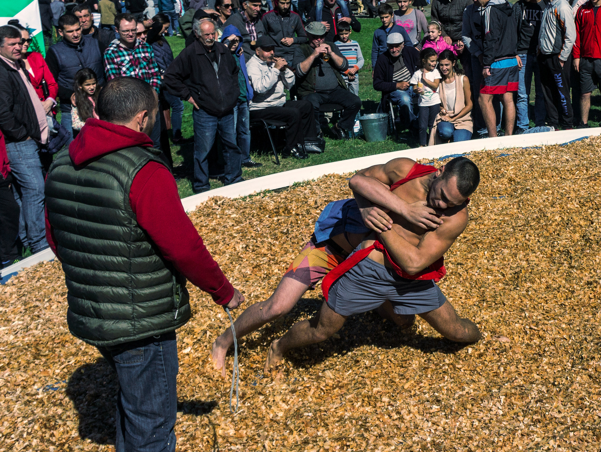 Sony Alpha NEX-3 sample photo. Georgian wrestling photography