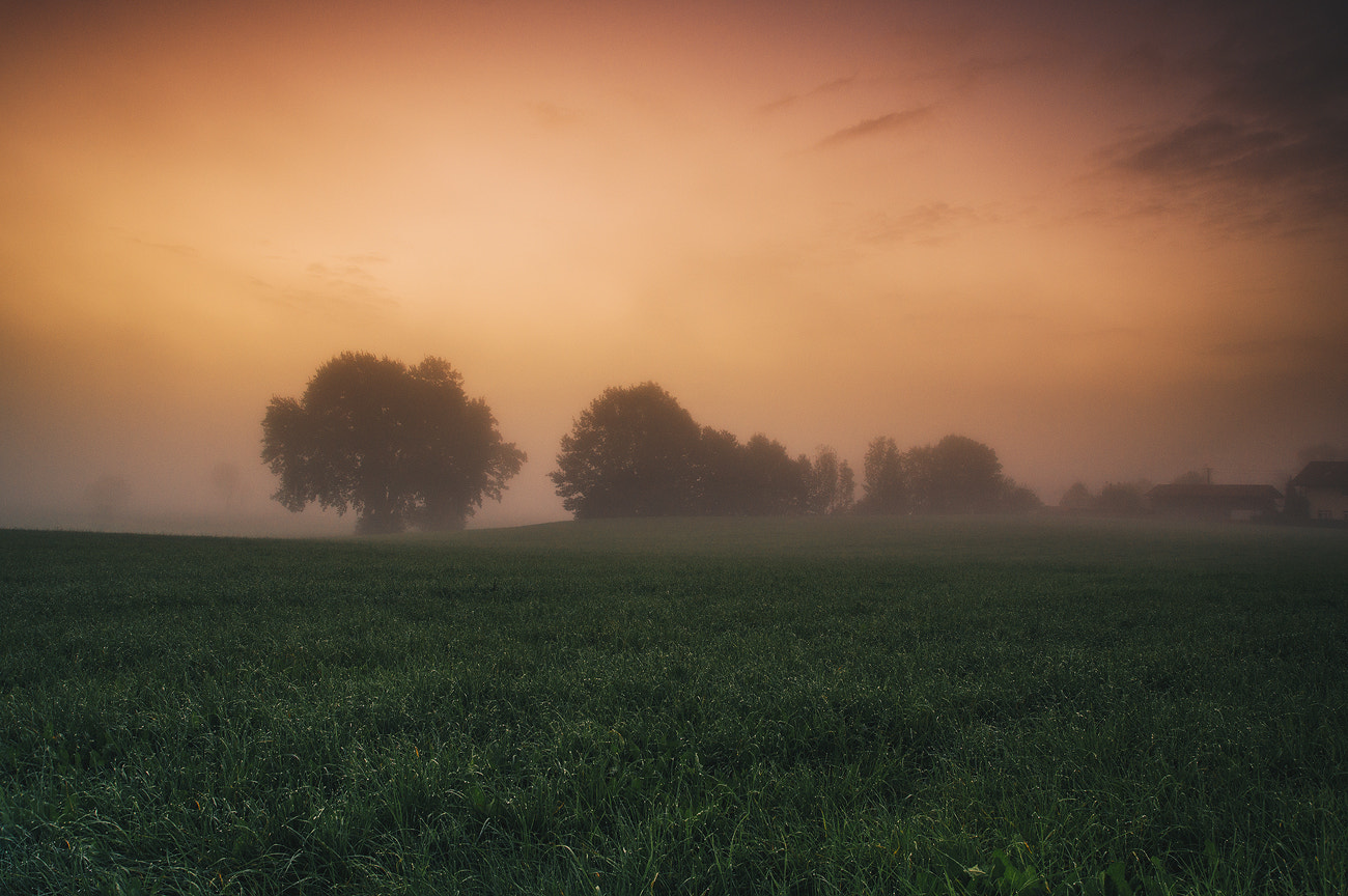 Sony SLT-A57 sample photo. Morning calmness photography