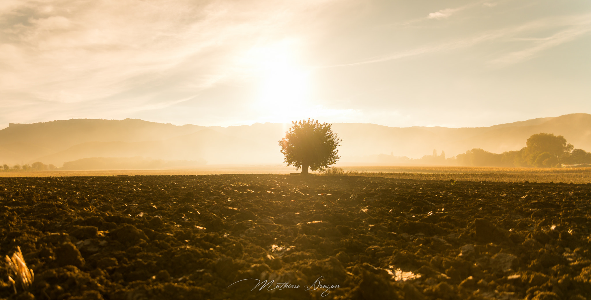Sigma 24-70mm F2.8 EX DG HSM sample photo. Lonely tree photography