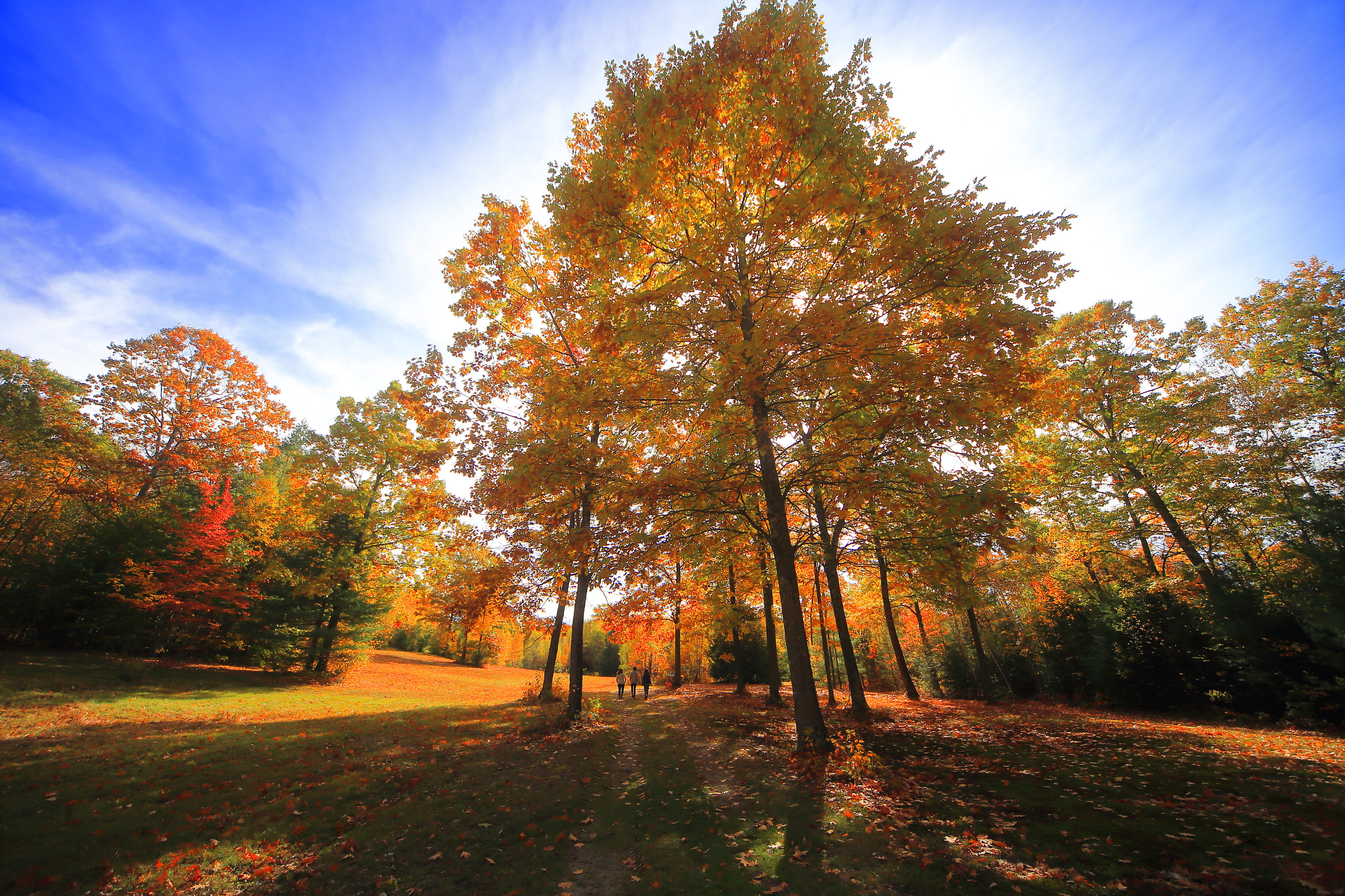 Canon EOS 6D + Sigma 12-24mm F4.5-5.6 EX DG Aspherical HSM sample photo. Fall feels photography