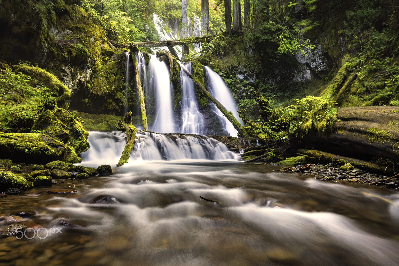 Canon TS-E 24.0mm f/3.5 L II sample photo. Panther creek photography