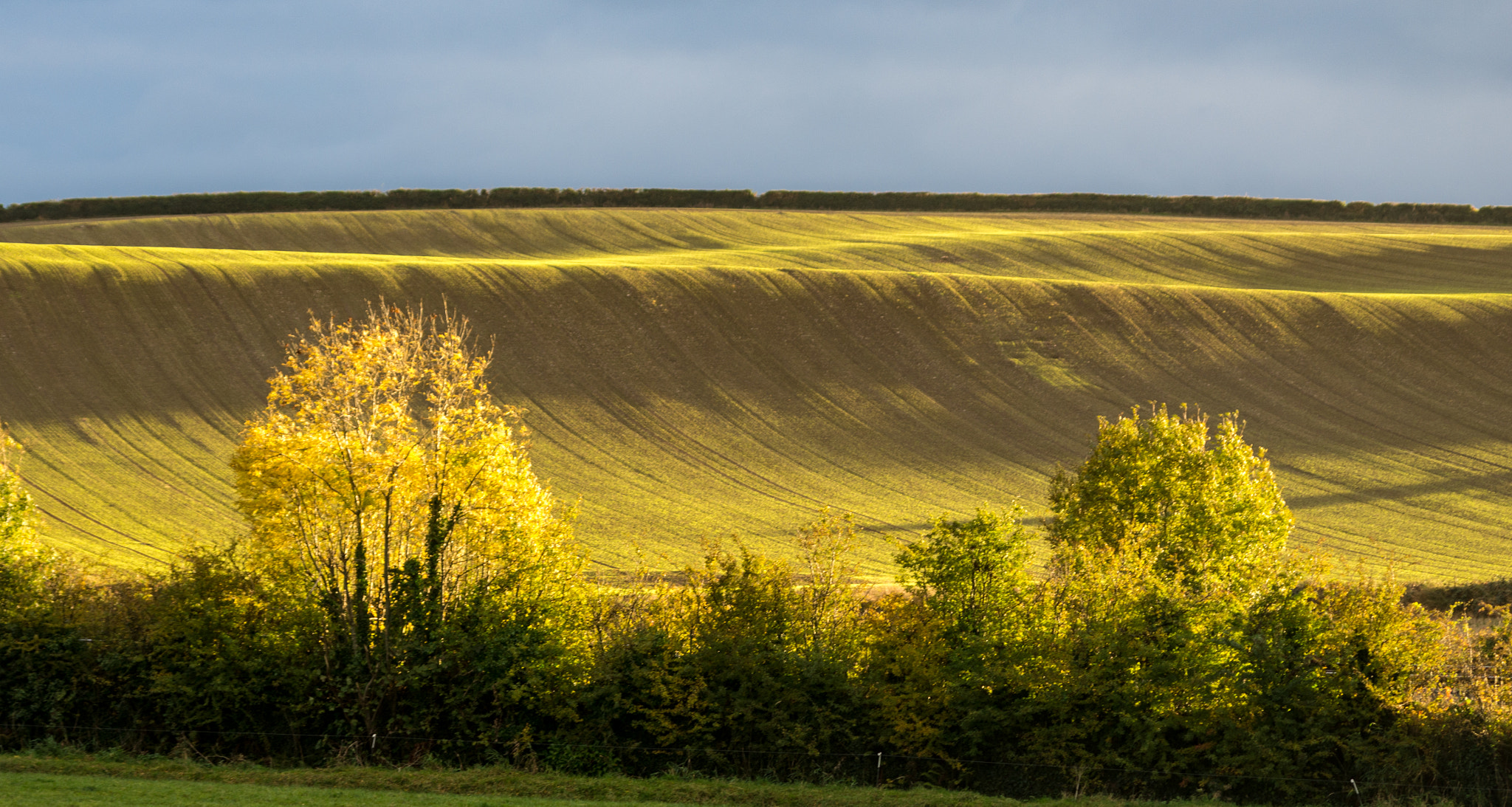 Pentax smc DA 55-300mm F4.0-5.8 ED sample photo. Rolling hills of dunleer photography