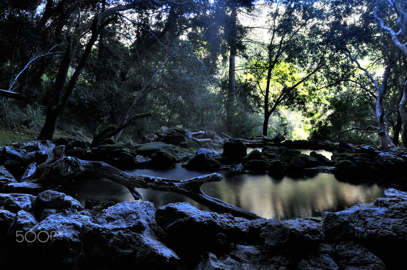 Sigma 17-70mm F2.8-4 DC Macro OS HSM sample photo. Scenic view of magical dark forest with river photography