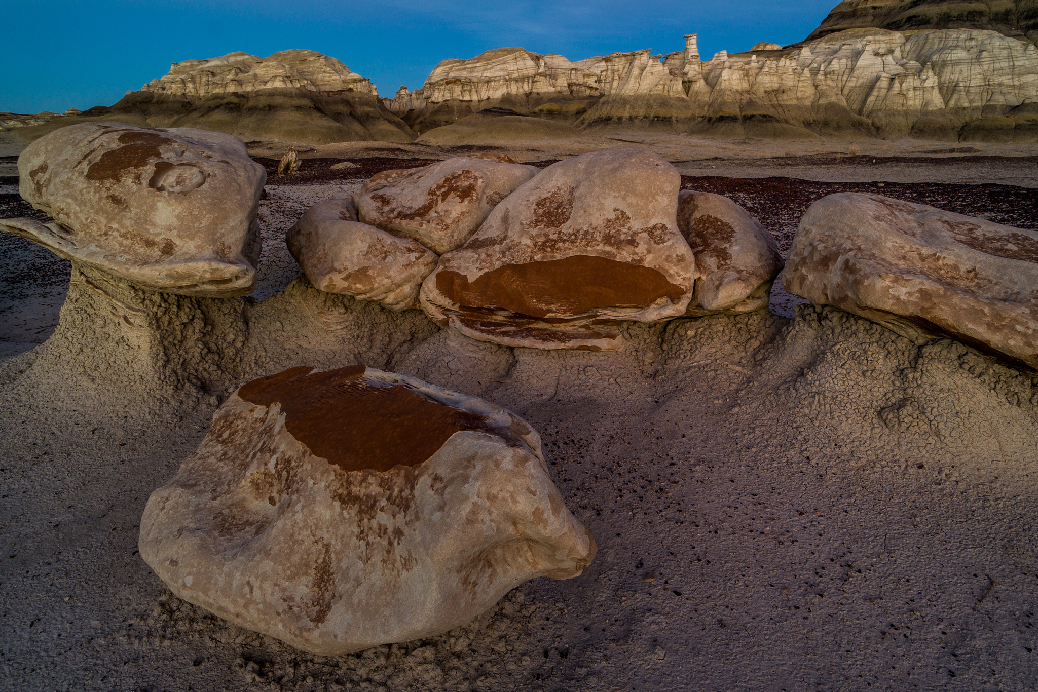 Samsung NX300 sample photo. Alien egg hatchery photography