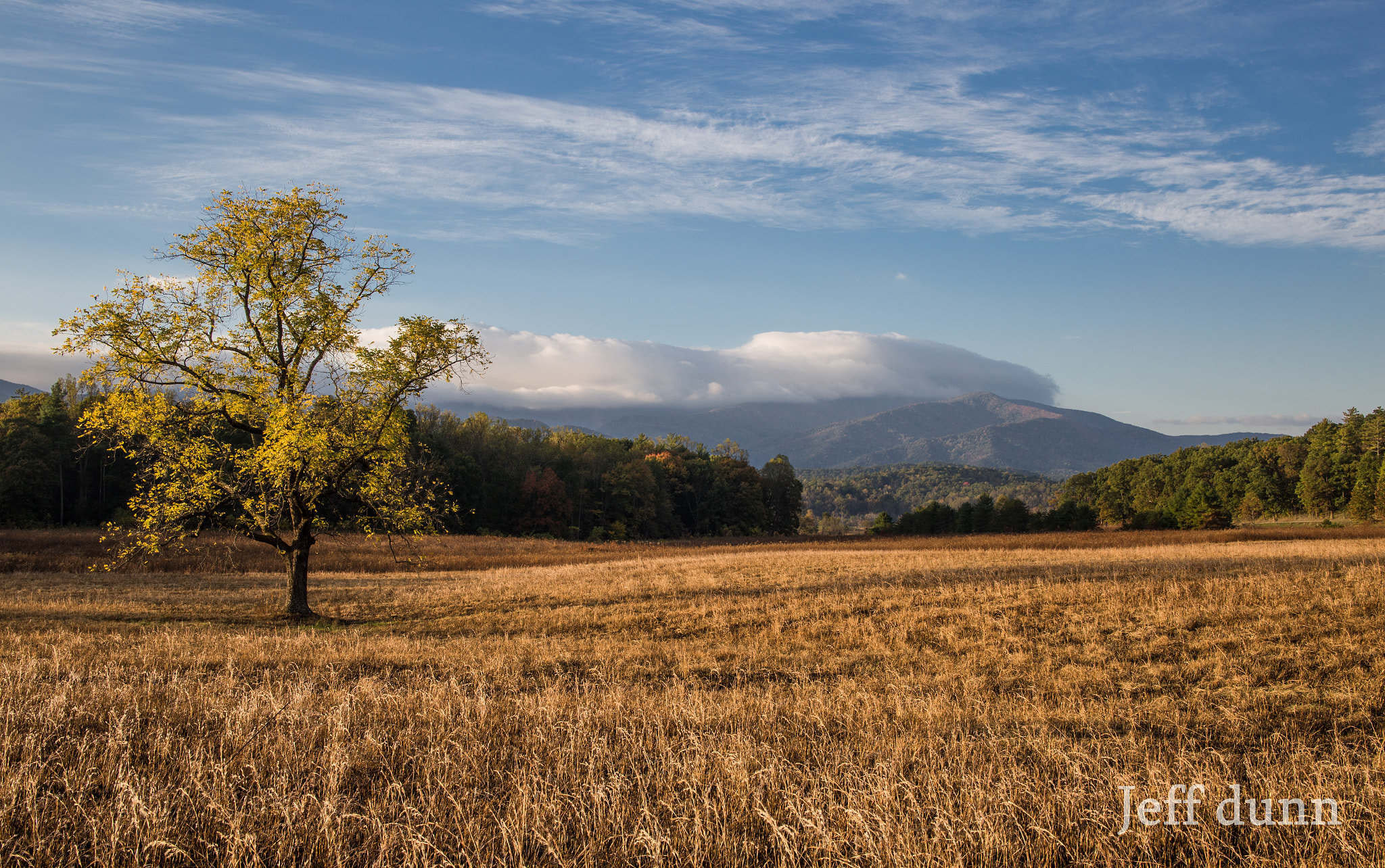 Tamron SP 35mm F1.8 Di VC USD sample photo. Cades cove  photography
