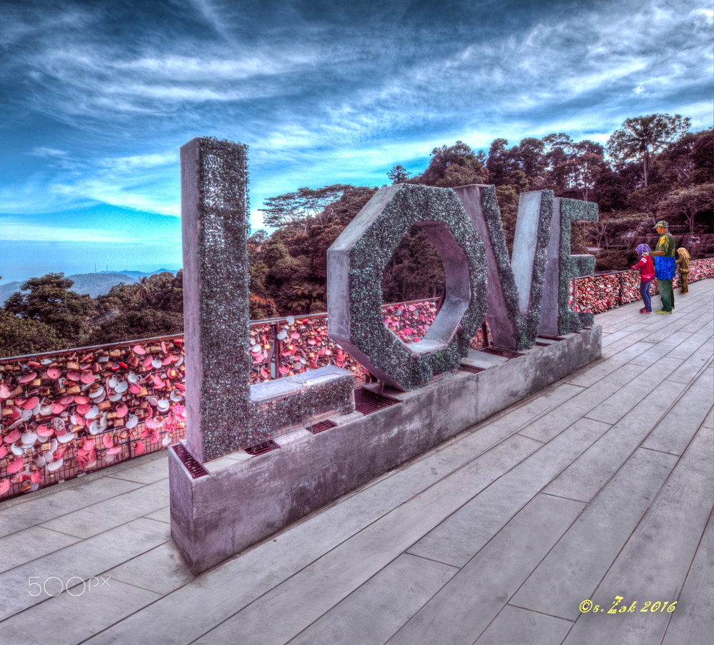 Olympus Zuiko Digital ED 9-18mm F4.0-5.6 sample photo. Love is the answer photography