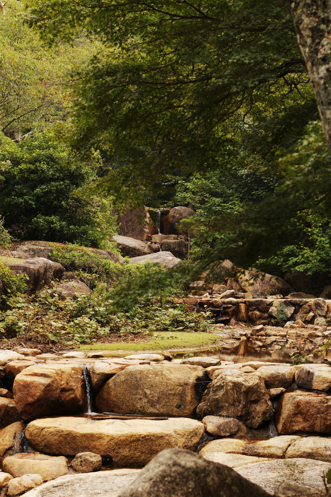 Canon EOS 700D (EOS Rebel T5i / EOS Kiss X7i) + Canon EF 50mm F1.4 USM sample photo. Miyajima island photography