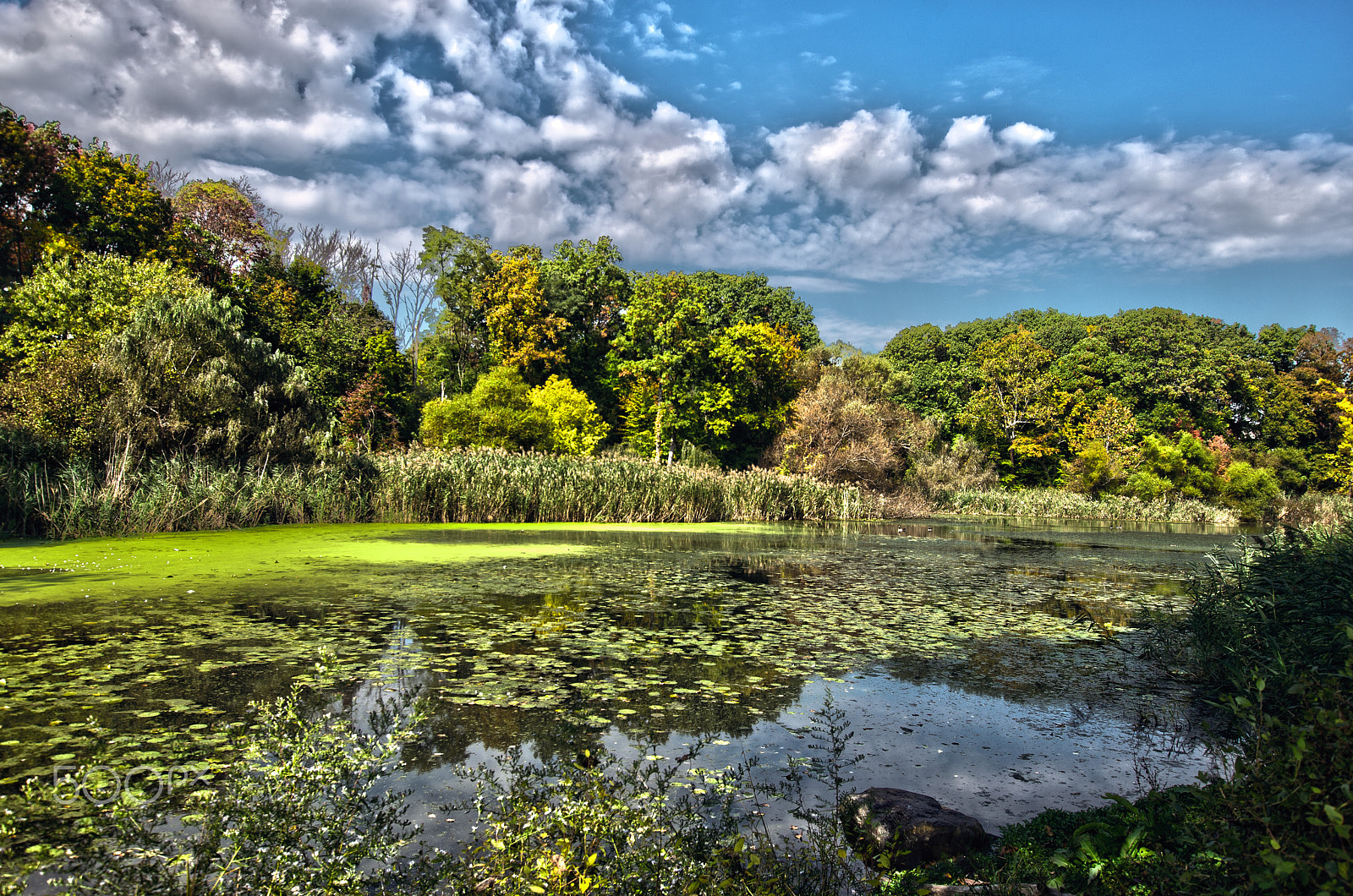 Nikon D610 sample photo. Realhdr photography