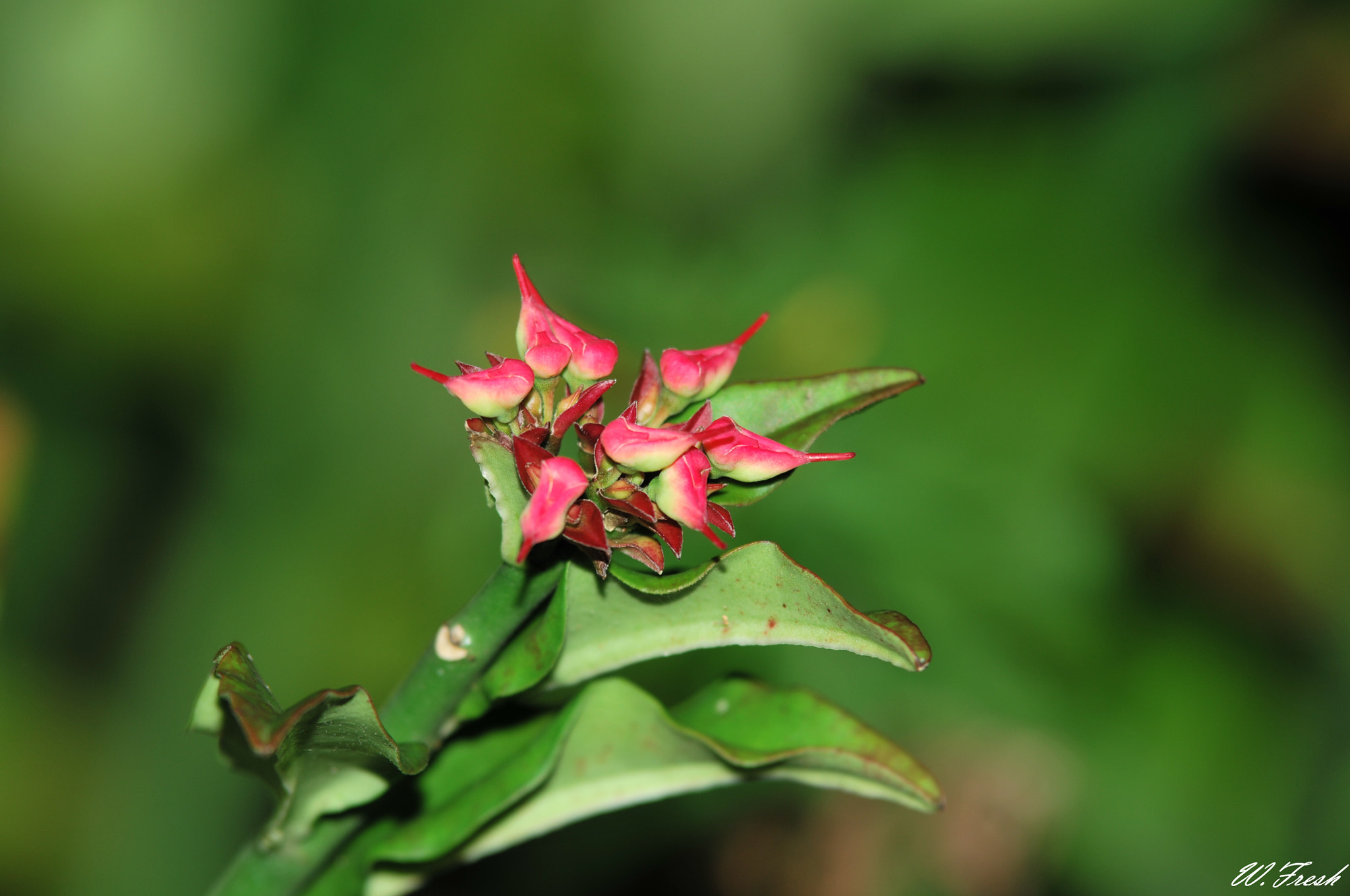 Nikon D300 sample photo. New photography