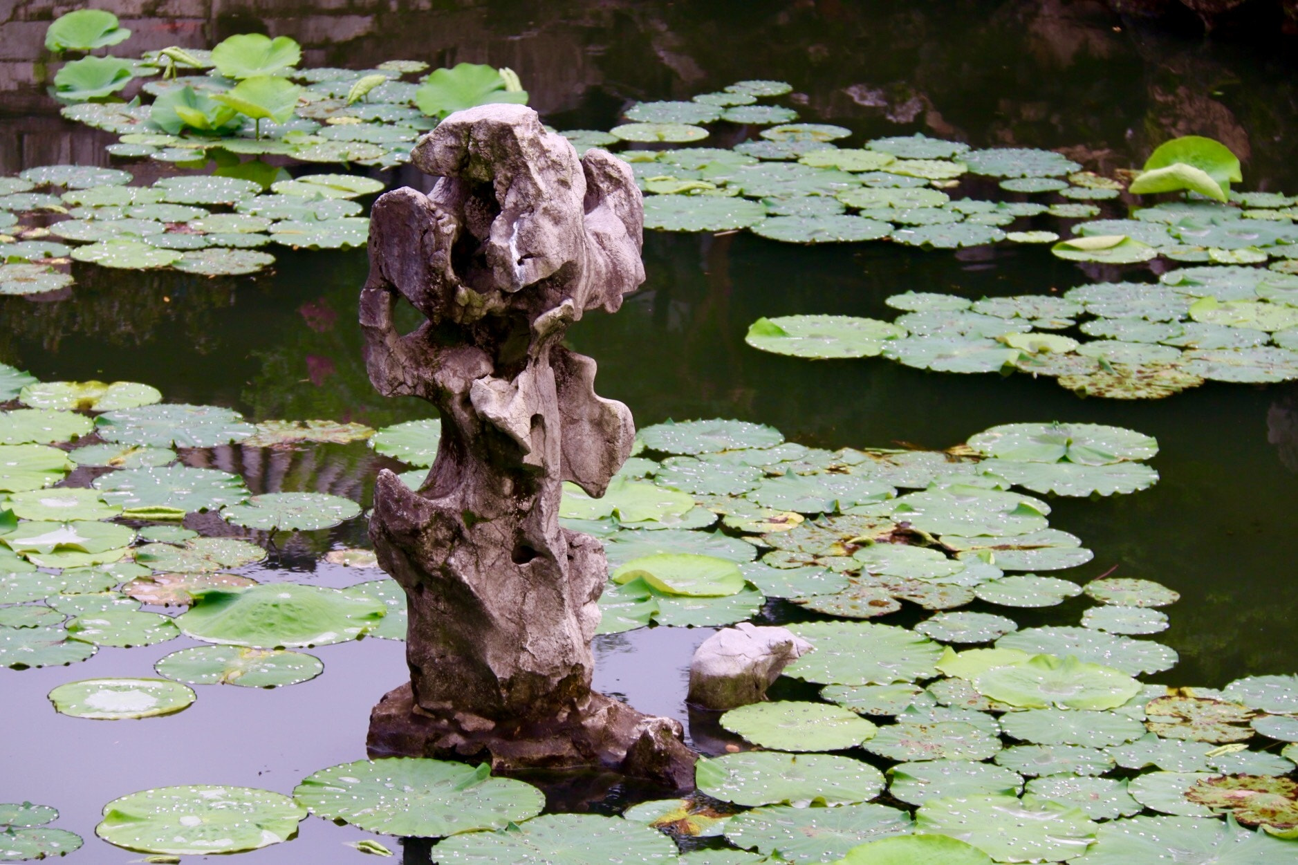 Canon EF-S 18-200mm F3.5-5.6 IS sample photo. The suzhou traditional garden, china. photography