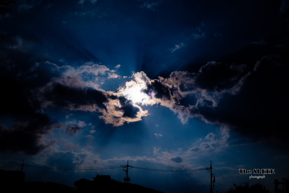 Sony FE 50mm F2.8 Macro sample photo. The exploding sky photography