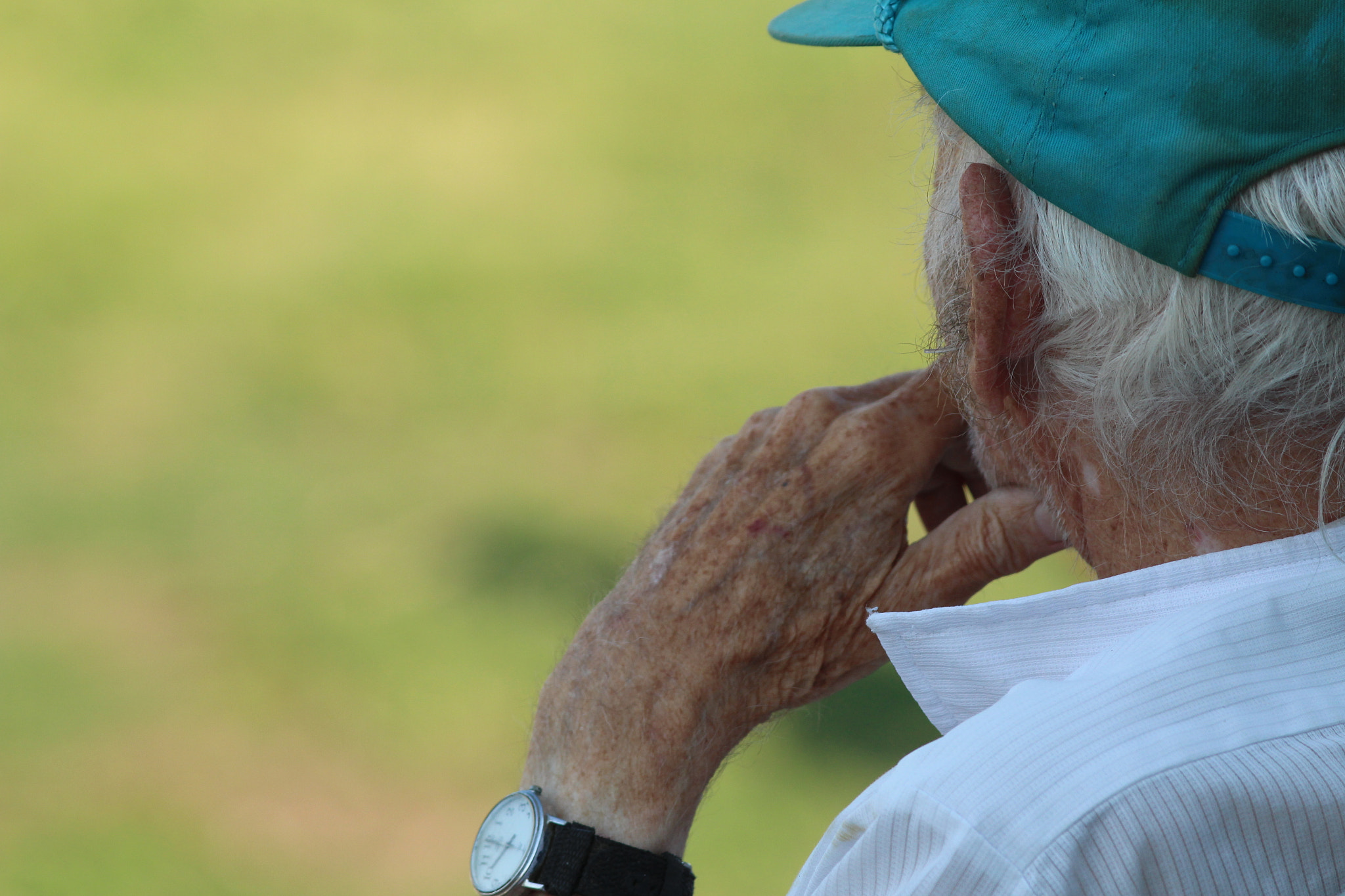 Canon EF 200mm F2.8L II USM sample photo. Spectator only photography