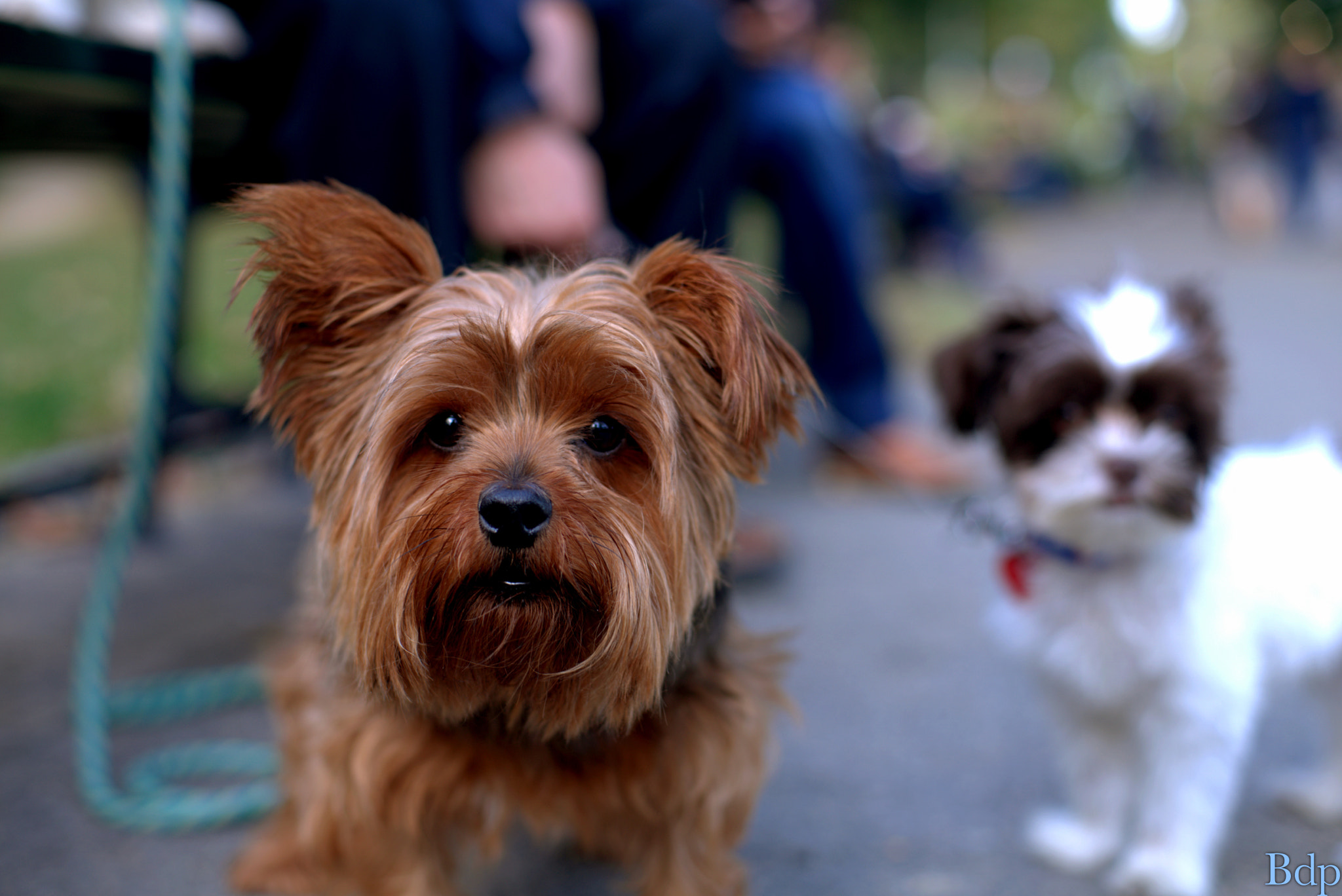 Sony a7 + Sony 50mm F1.4 sample photo. Well would you look at that haha photography