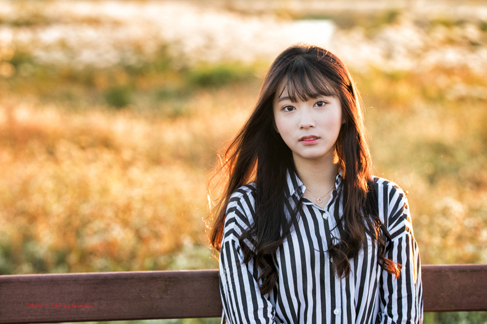 Sigma 50-100mm F1.8 DC HSM Art sample photo. 가을의 빛 02 photography