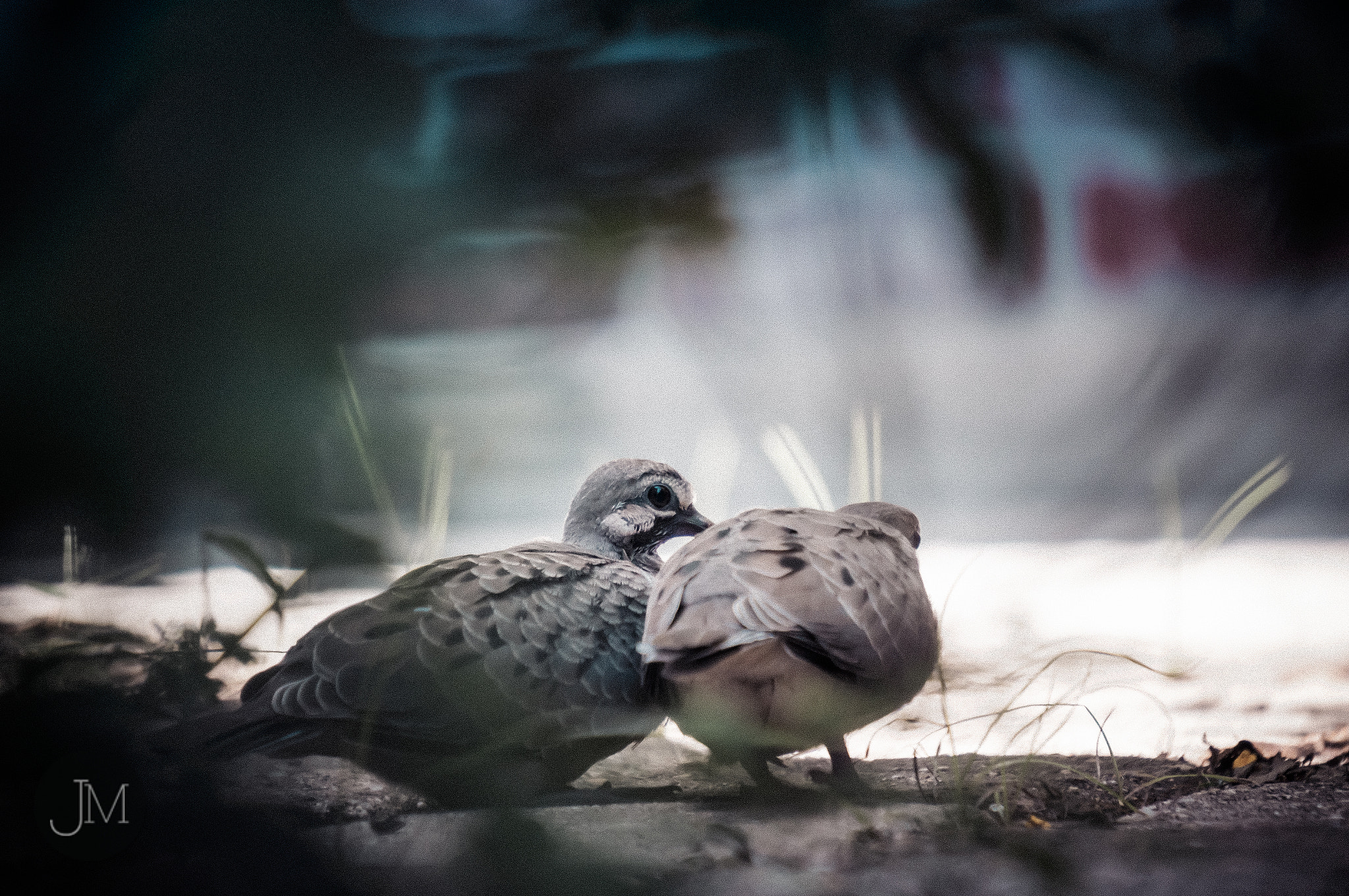 Sony Alpha NEX-6 + Sony E 55-210mm F4.5-6.3 OSS sample photo. Tell me a secret photography