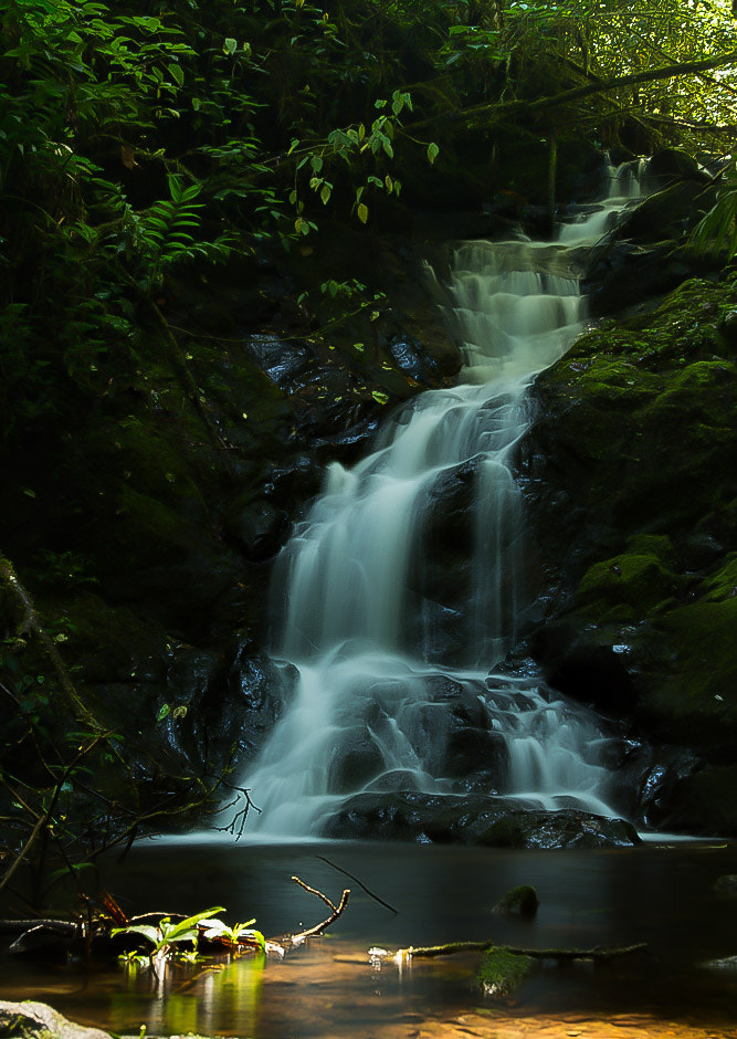Nikon AF-S Nikkor 18-35mm F3.5-4.5G ED sample photo. Pequeña cascada photography