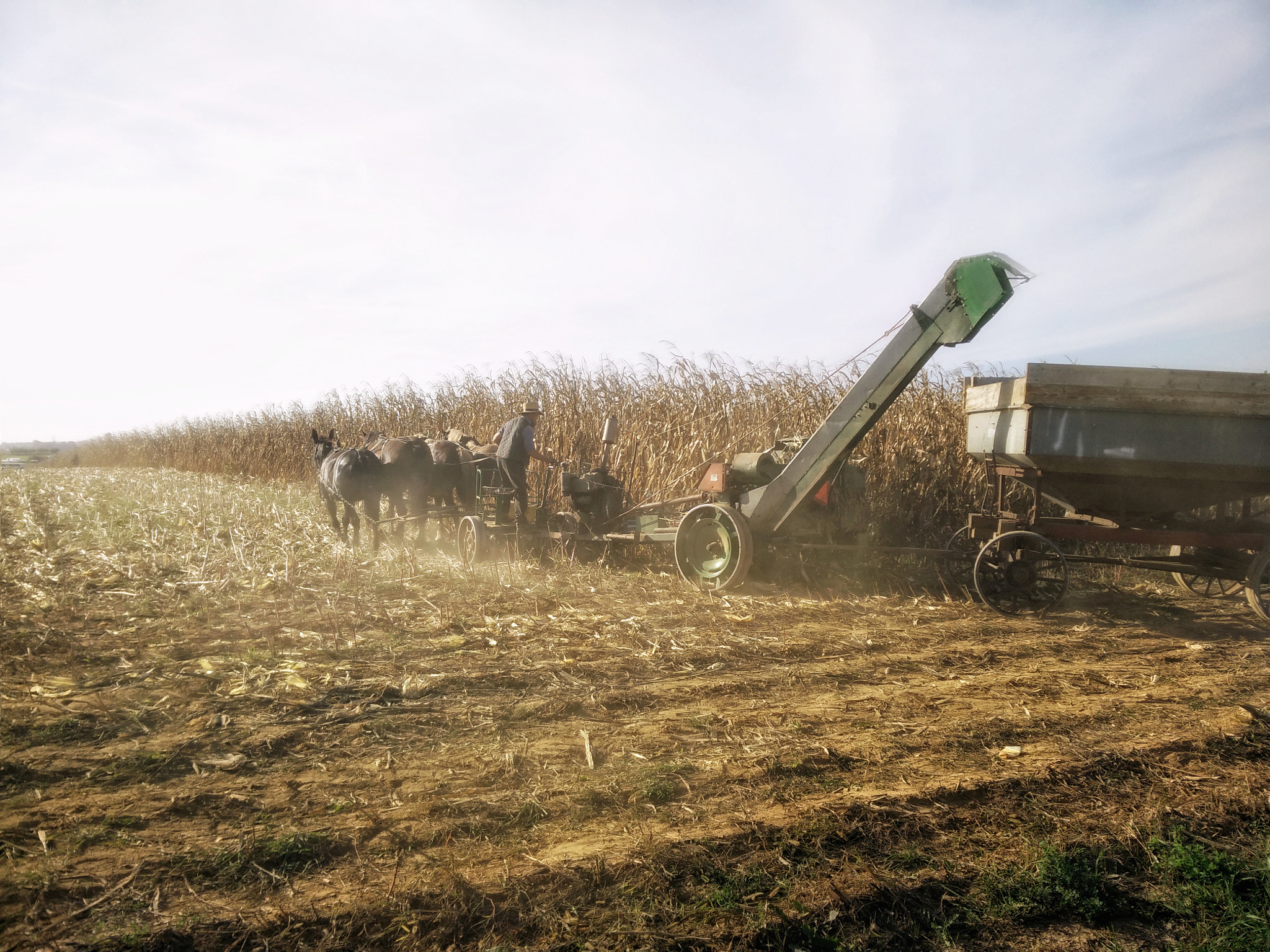 OnePlus ONE sample photo. A farmer's connection to the earth photography
