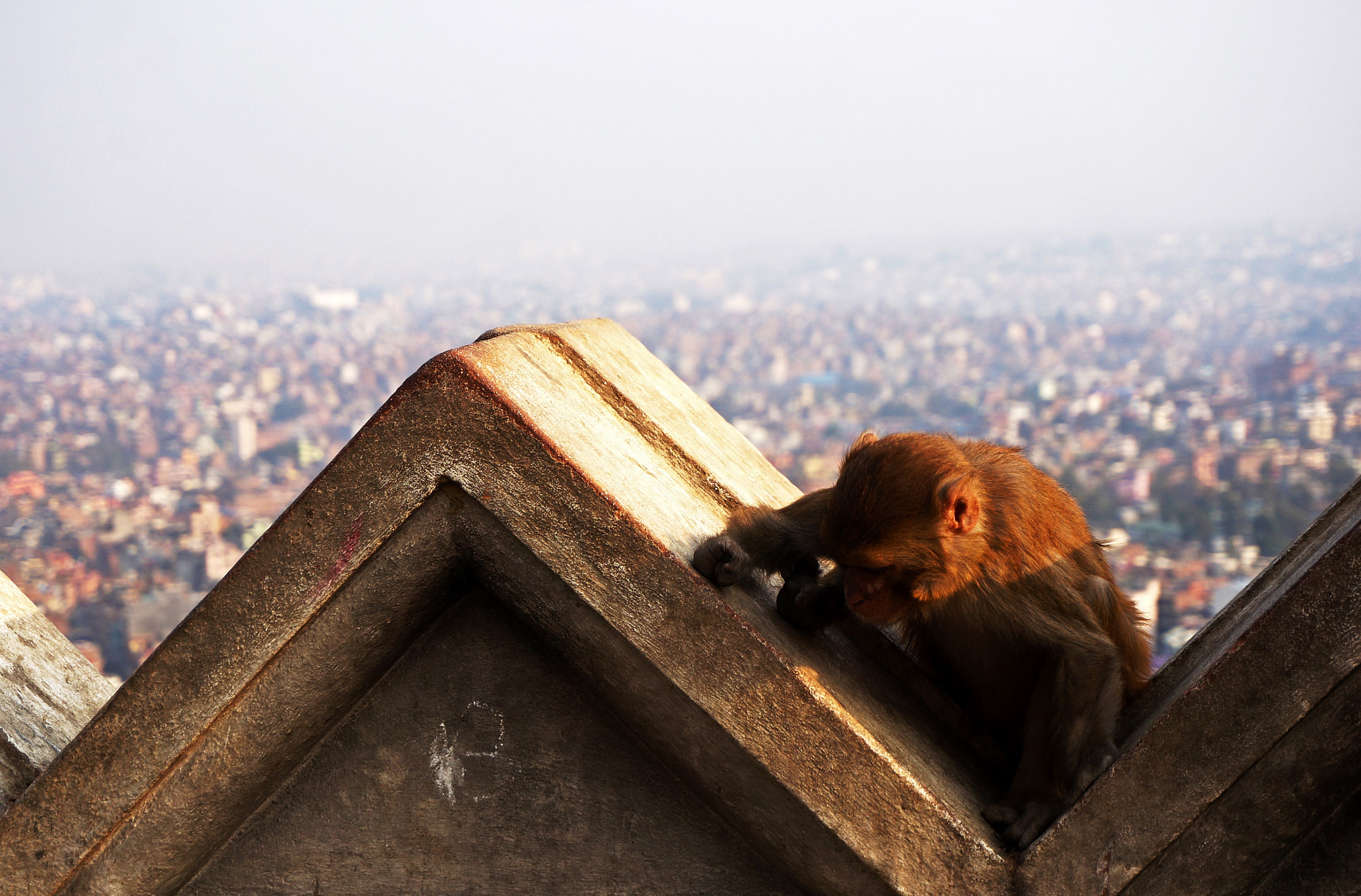 Sony Alpha NEX-6 + Sony E 18-50mm F4-5.6 sample photo. Monkey temple kathmandu photography