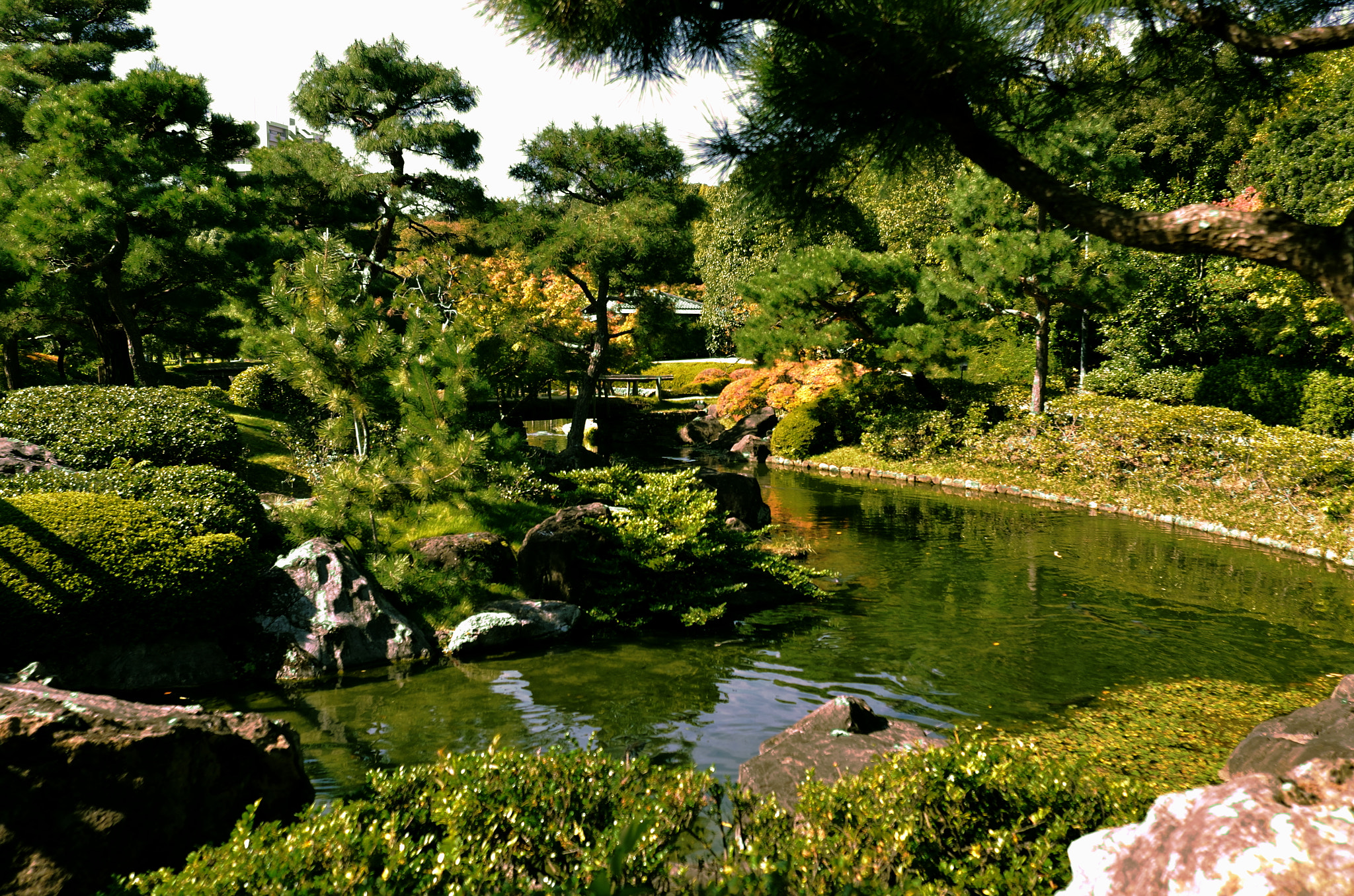 Nikon D7000 + Nikon AF Nikkor 24mm F2.8D sample photo. 「白鳥庭園」(japanese garden) photography