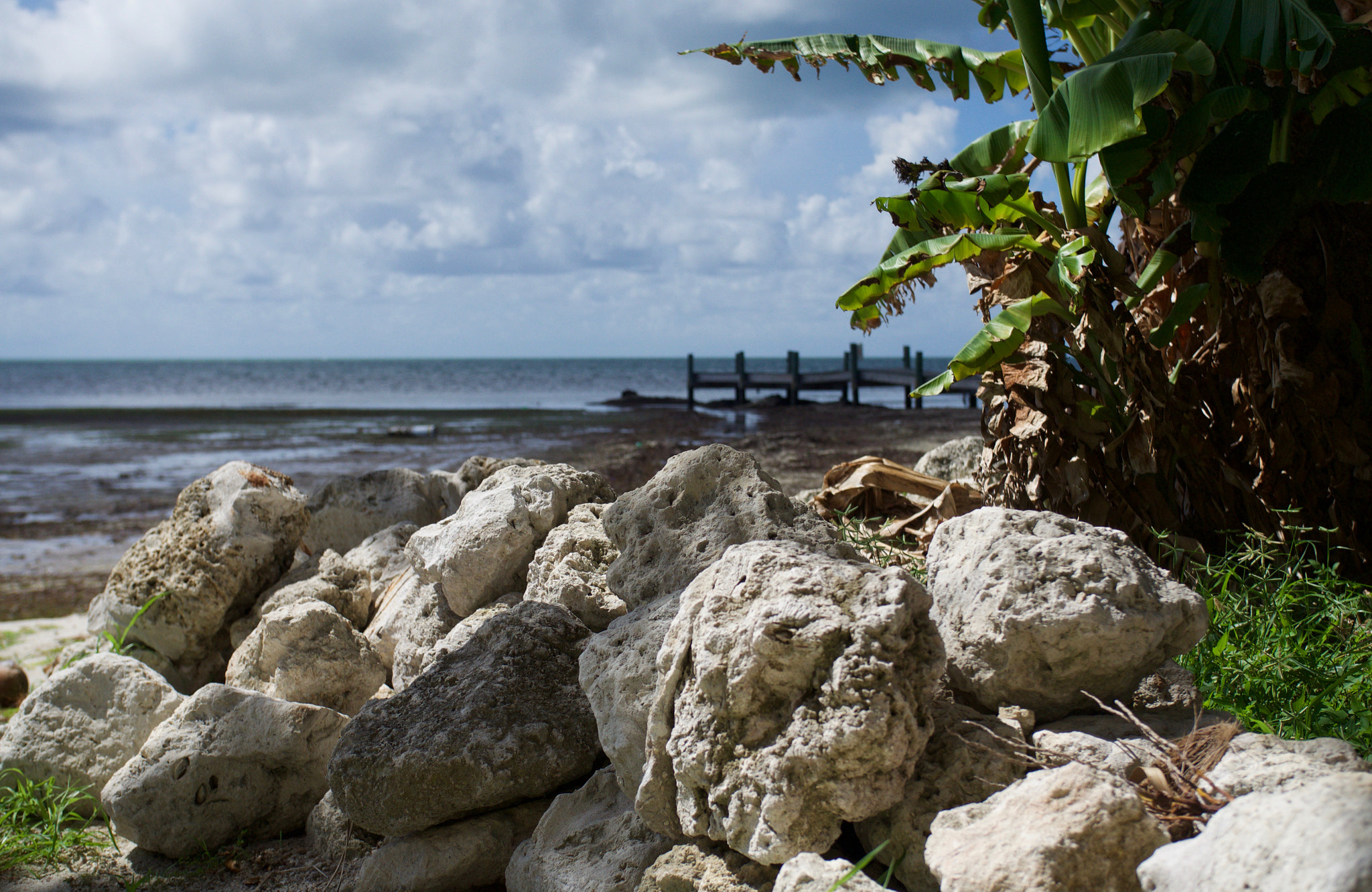 Panasonic Lumix DMC-GH4 + .7x Metabones 18-35/1.8 sample photo. Coconut cracking rocks photography