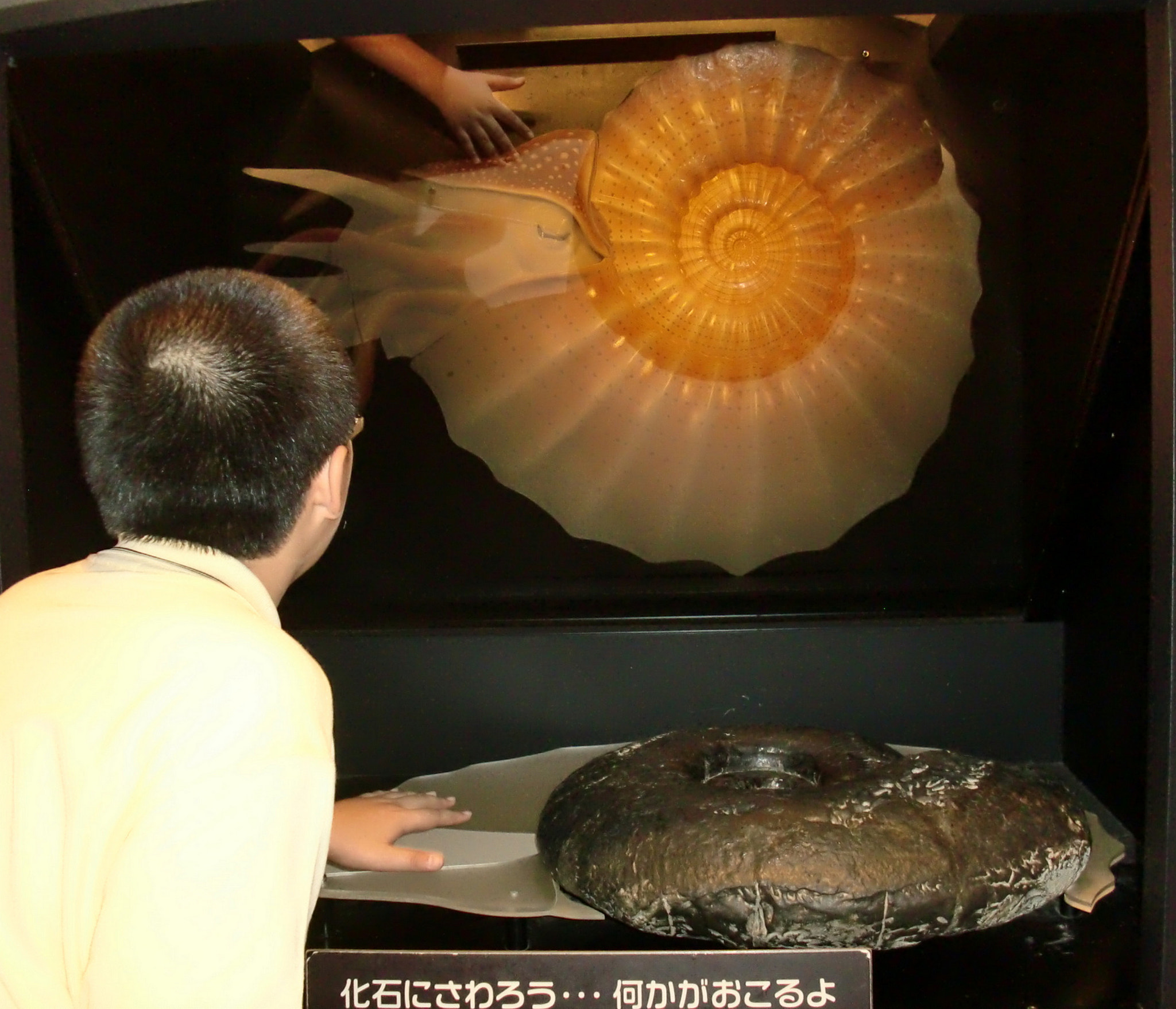 CASIO EX-S12 sample photo. Touching prehistory photography
