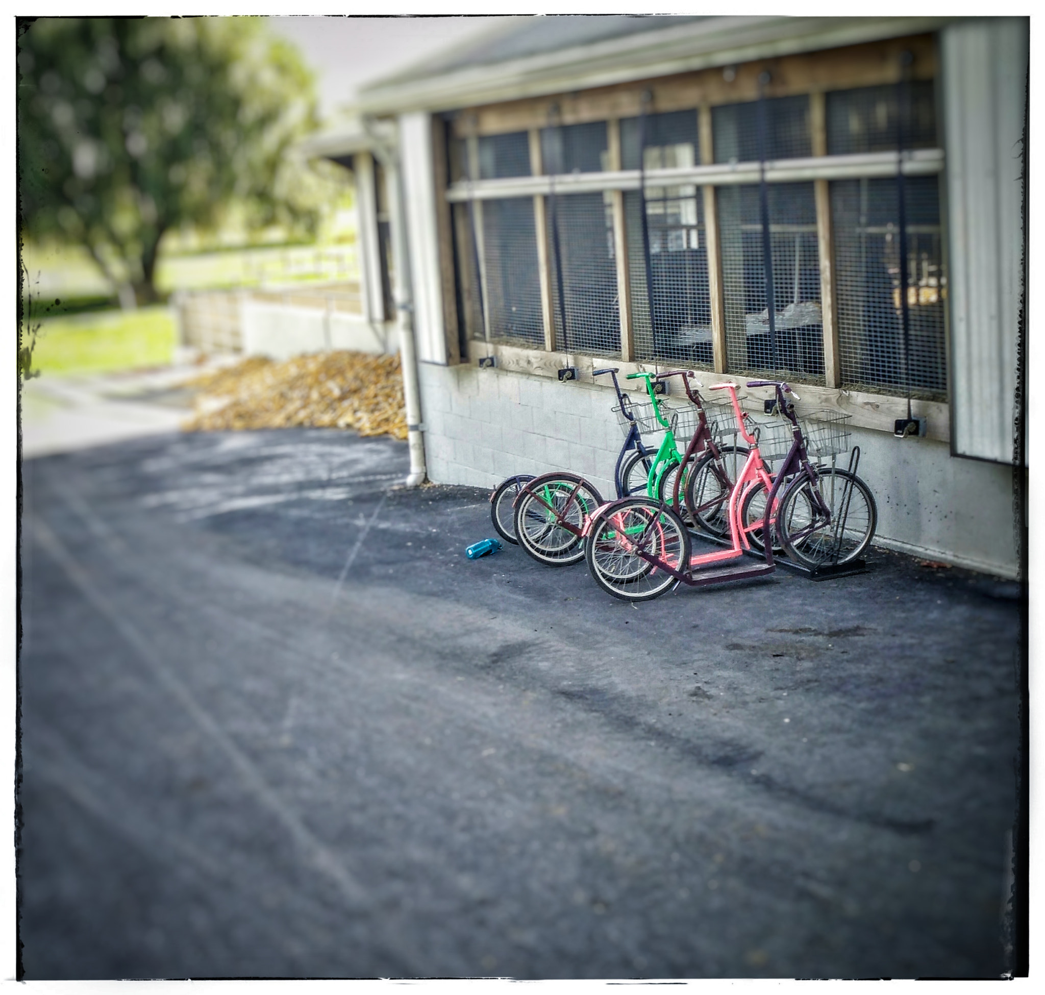 OnePlus ONE sample photo. Amish push scooters photography