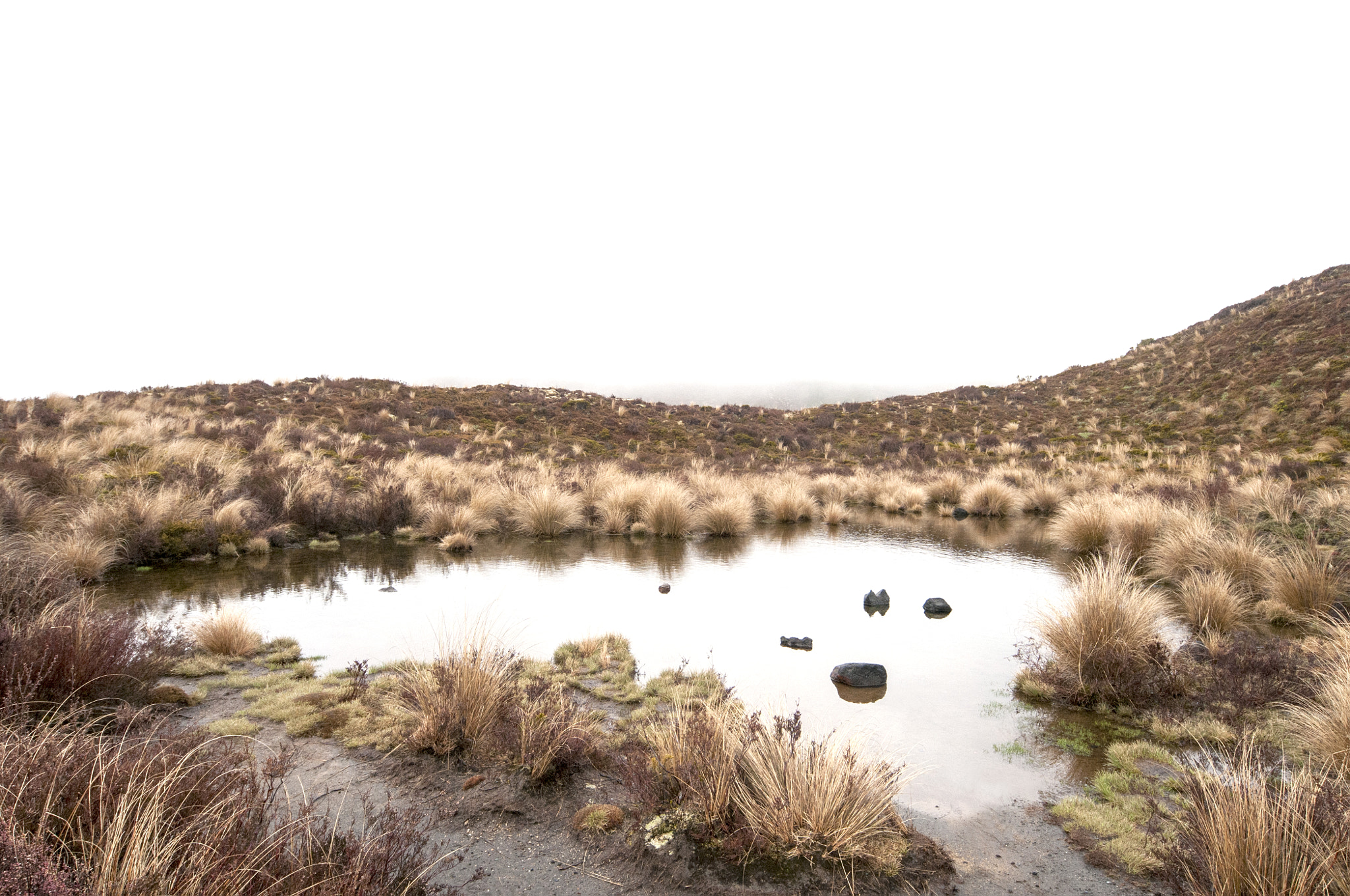 Nikon D300S + Sigma 12-24mm F4.5-5.6 EX DG Aspherical HSM sample photo. Volcanic reflections photography