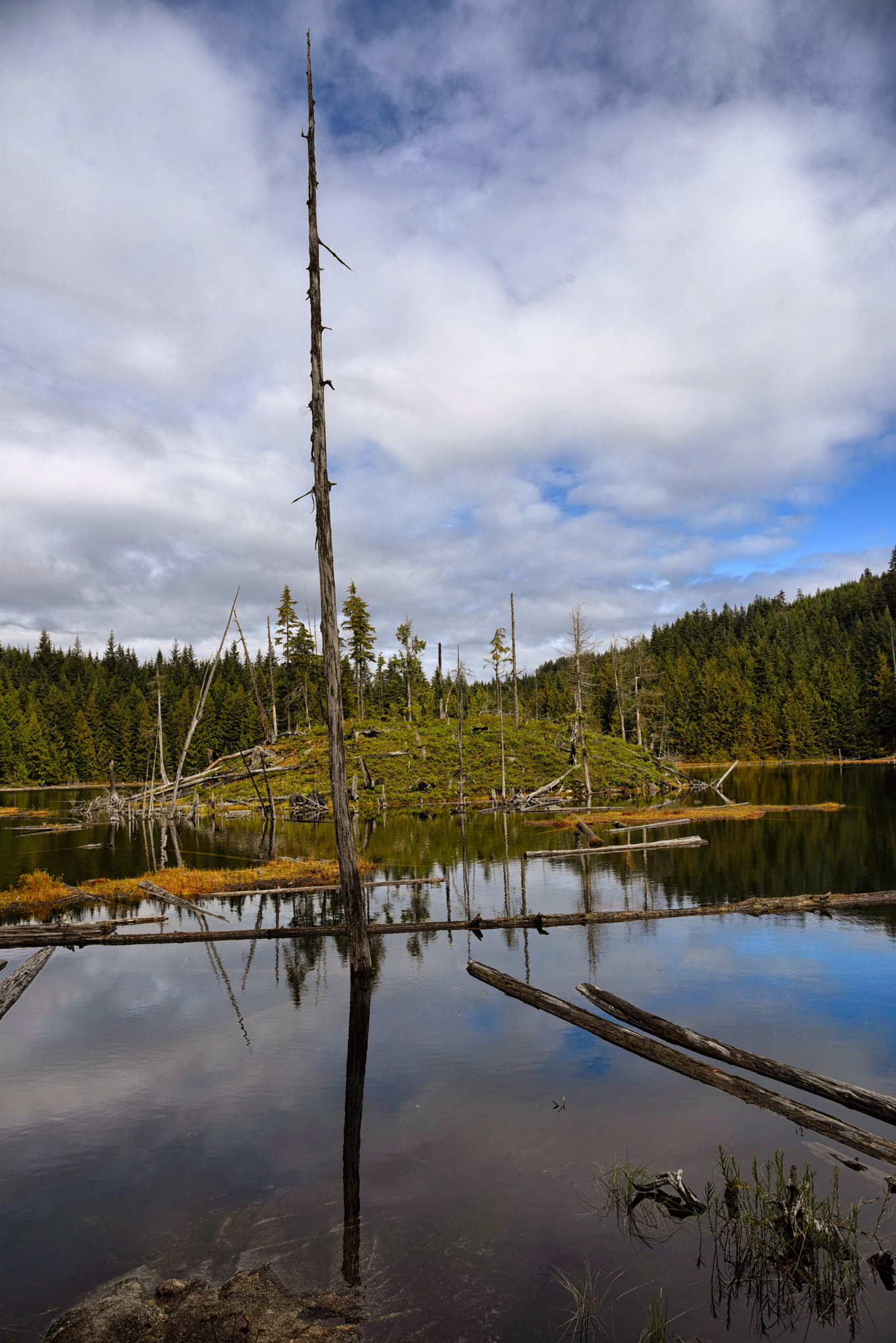 Nikon D750 + Sigma 105mm F2.8 EX DG Macro sample photo. Lake and small island photography