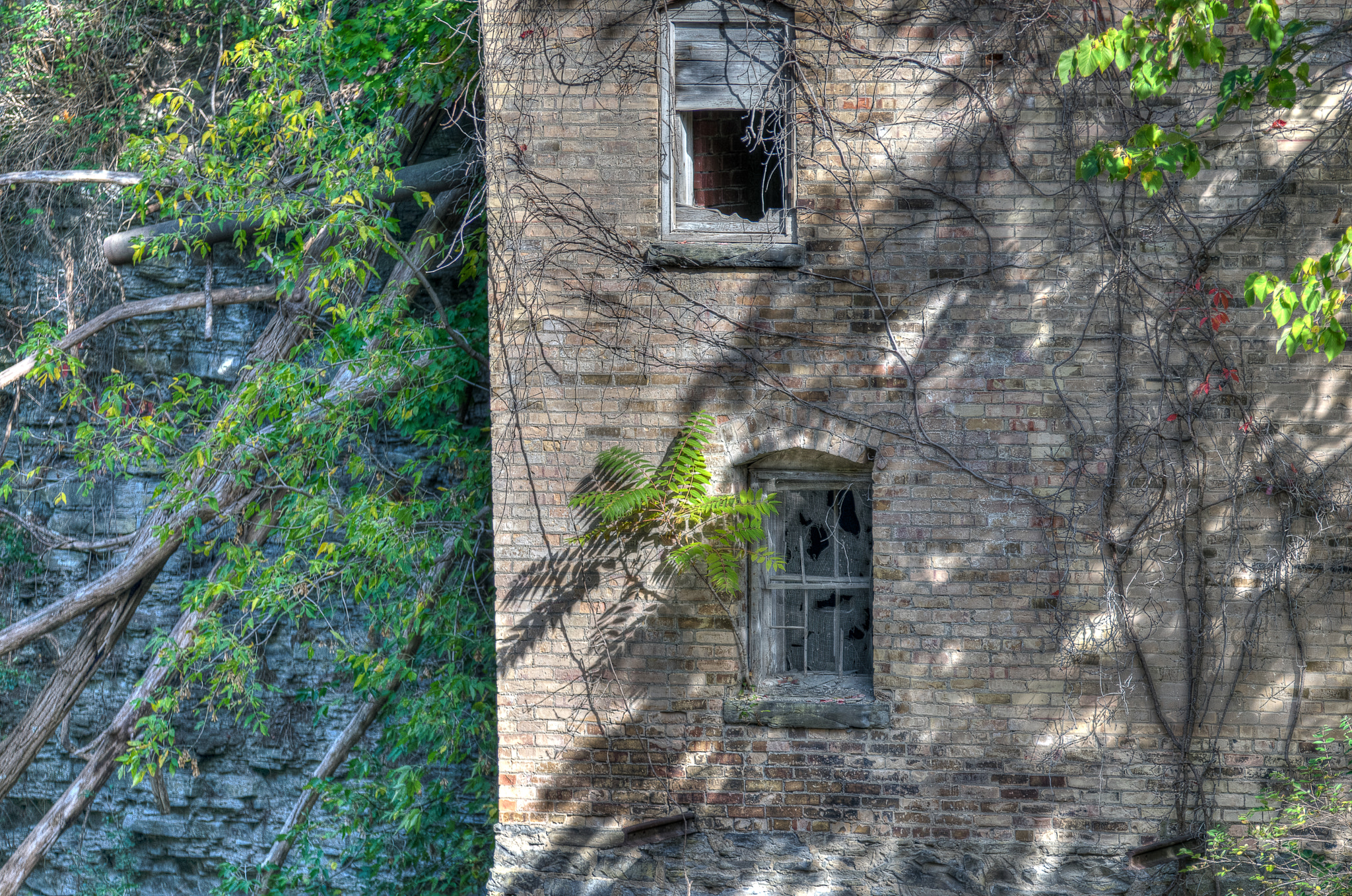 Sigma 70-200mm F2.8 EX DG OS HSM sample photo. Old water plant photography
