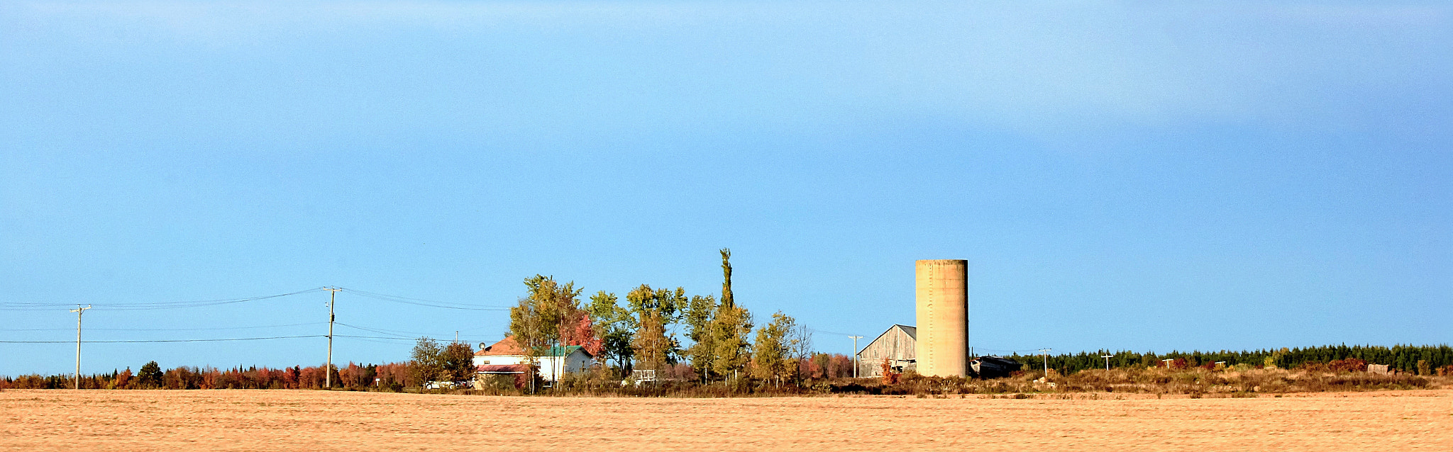 Canon EF-S 55-250mm F4-5.6 IS II sample photo. Field photography