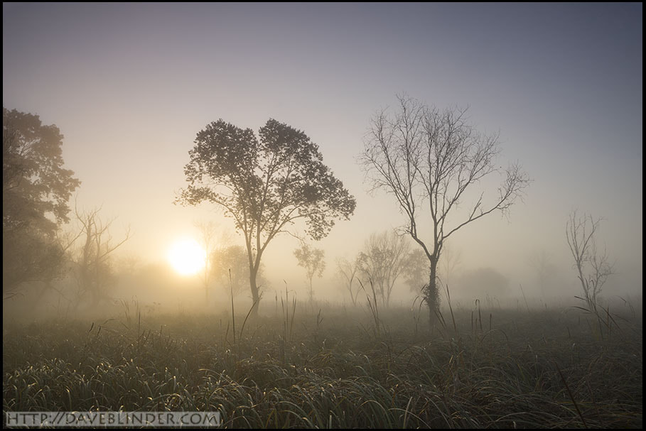 24-70mm F2.8 OSS sample photo. Morning sun and fog over meadow photography