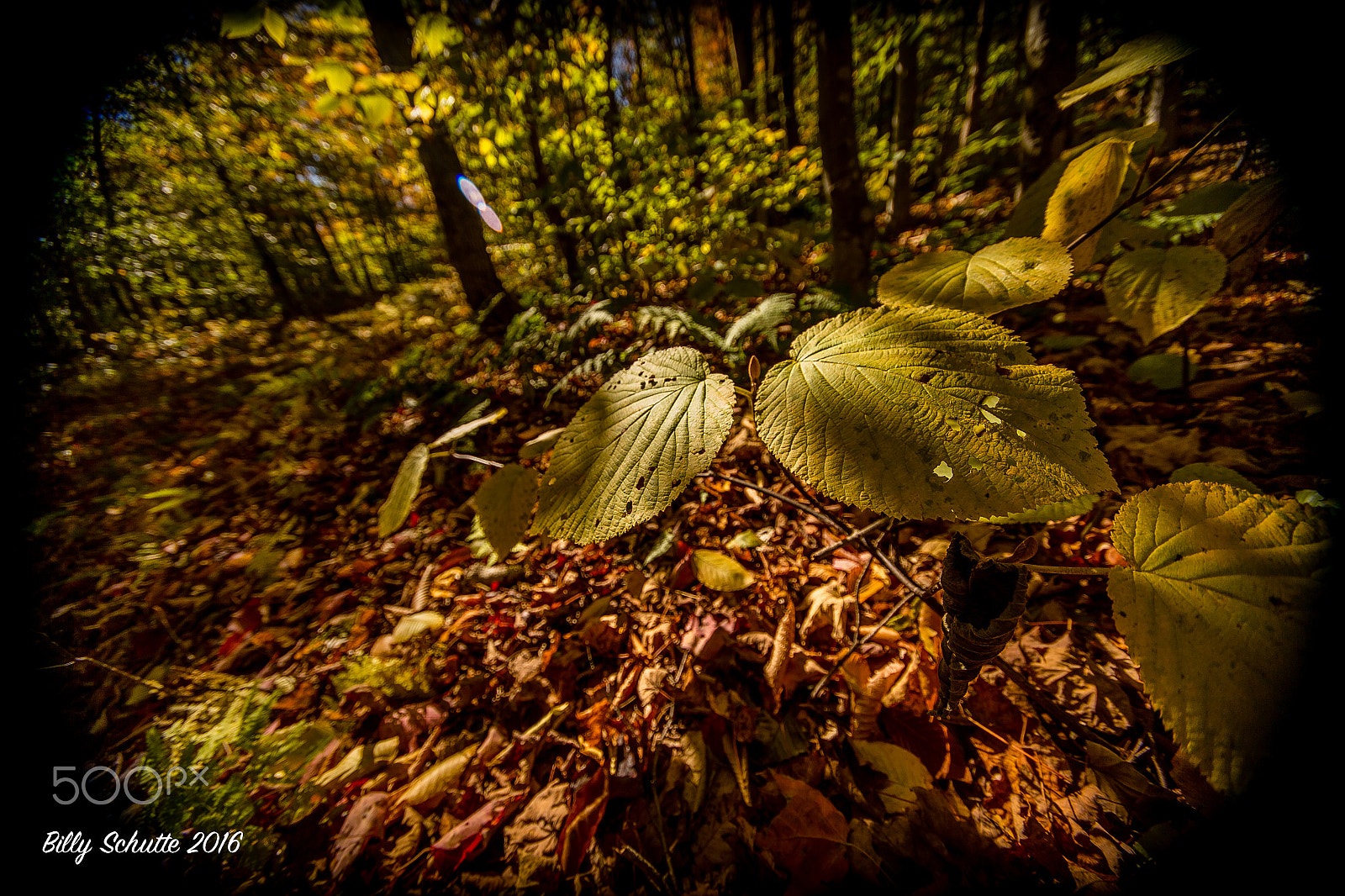 Canon EOS 6D + Sigma 10-20mm F4-5.6 EX DC HSM sample photo. Finger prints photography