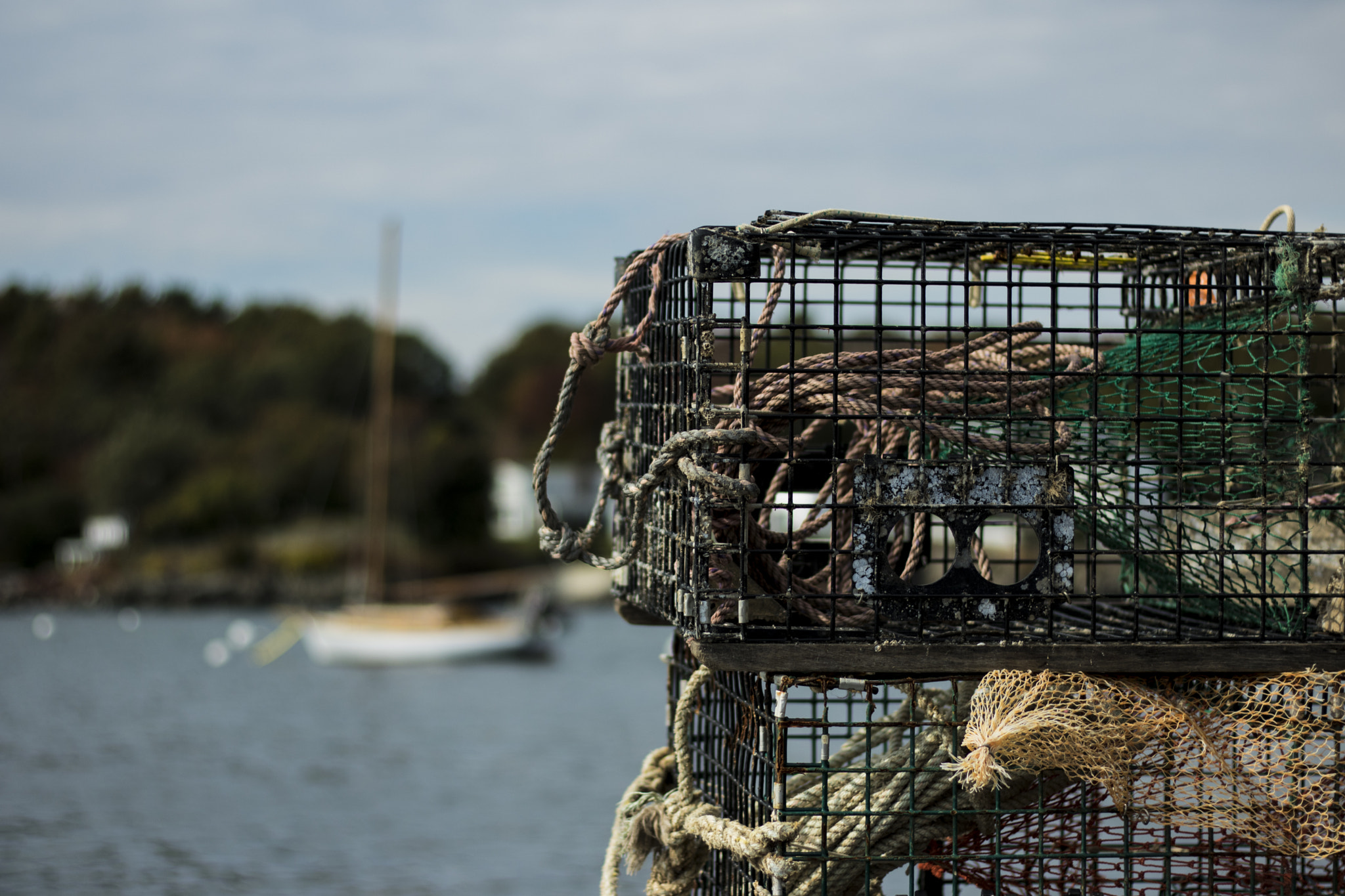 Canon EOS 760D (EOS Rebel T6s / EOS 8000D) sample photo. Trap stack photography